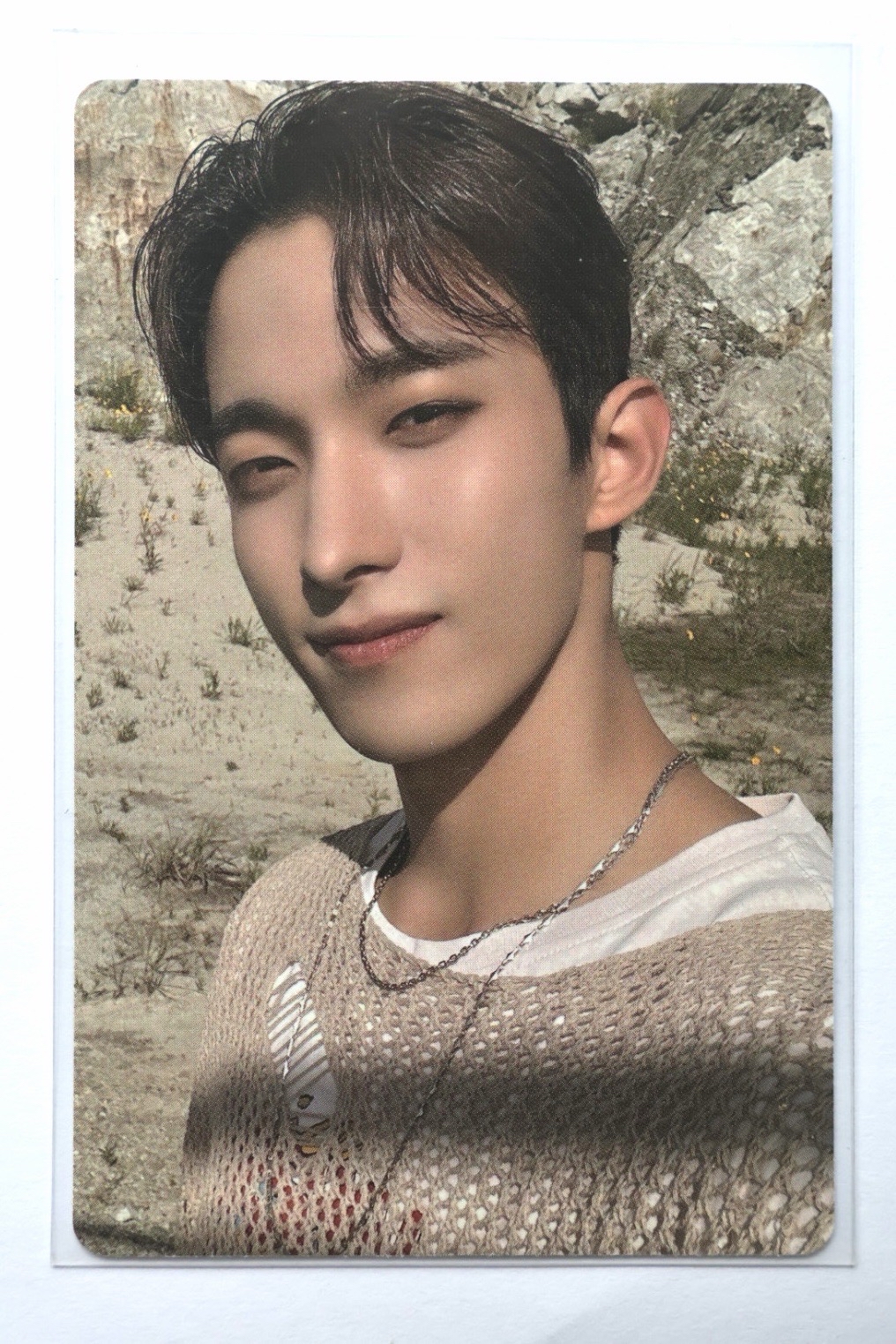 FOLLOW 演唱會 DVD / CD 卡 