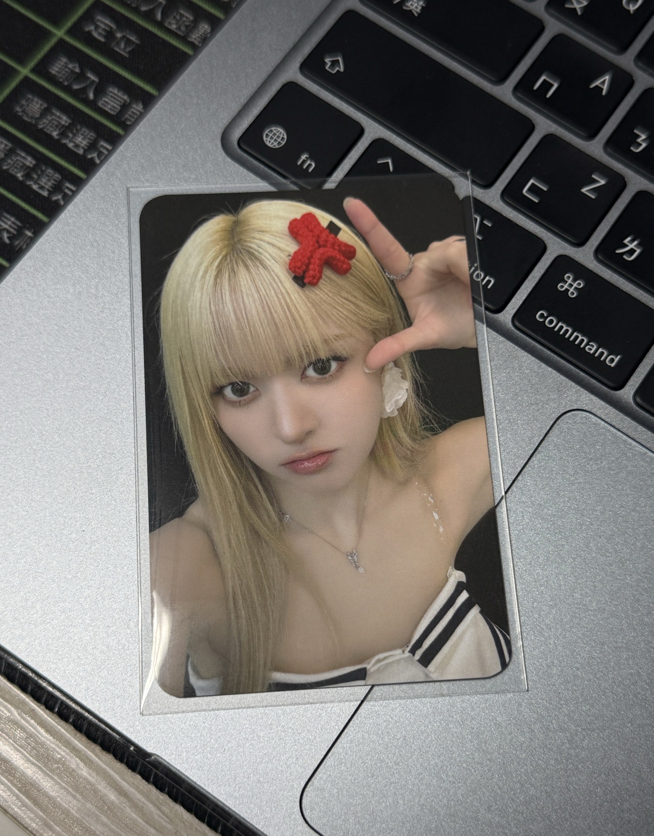 ⭐️一拉一拉莉