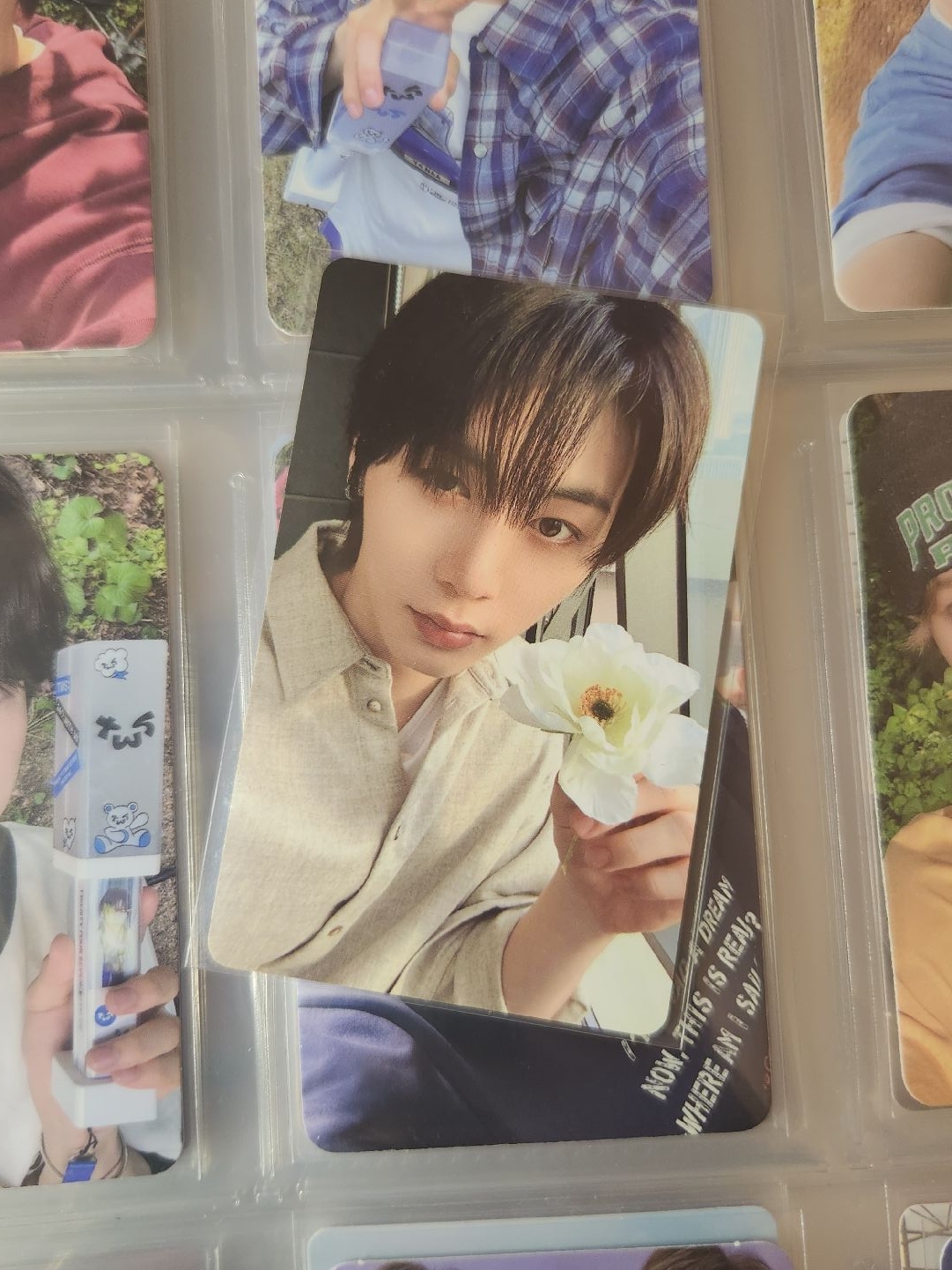 The Action 漢泰山 wvs特典卡🐈‍⬛