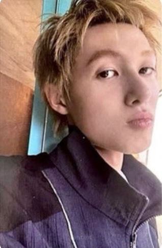 26年曆 wvs 特典+年曆卡*2