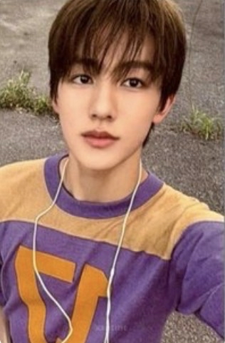 26年曆 wvs 特典+年曆卡*2