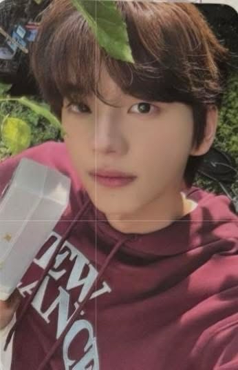 申惟高雄zone 送彩帶