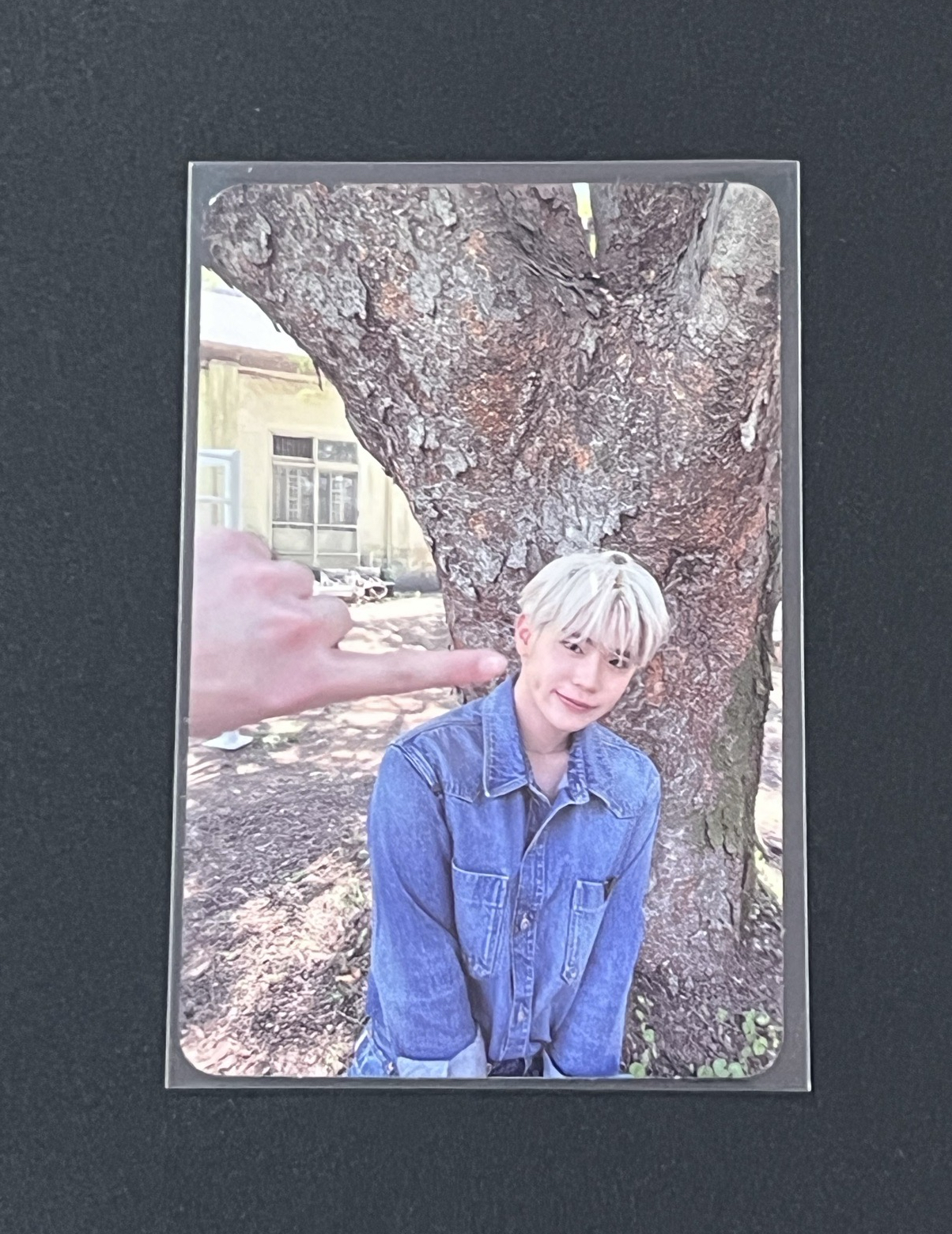 Kim TaeRae正規一 專輯卡 ORDINARY ver.