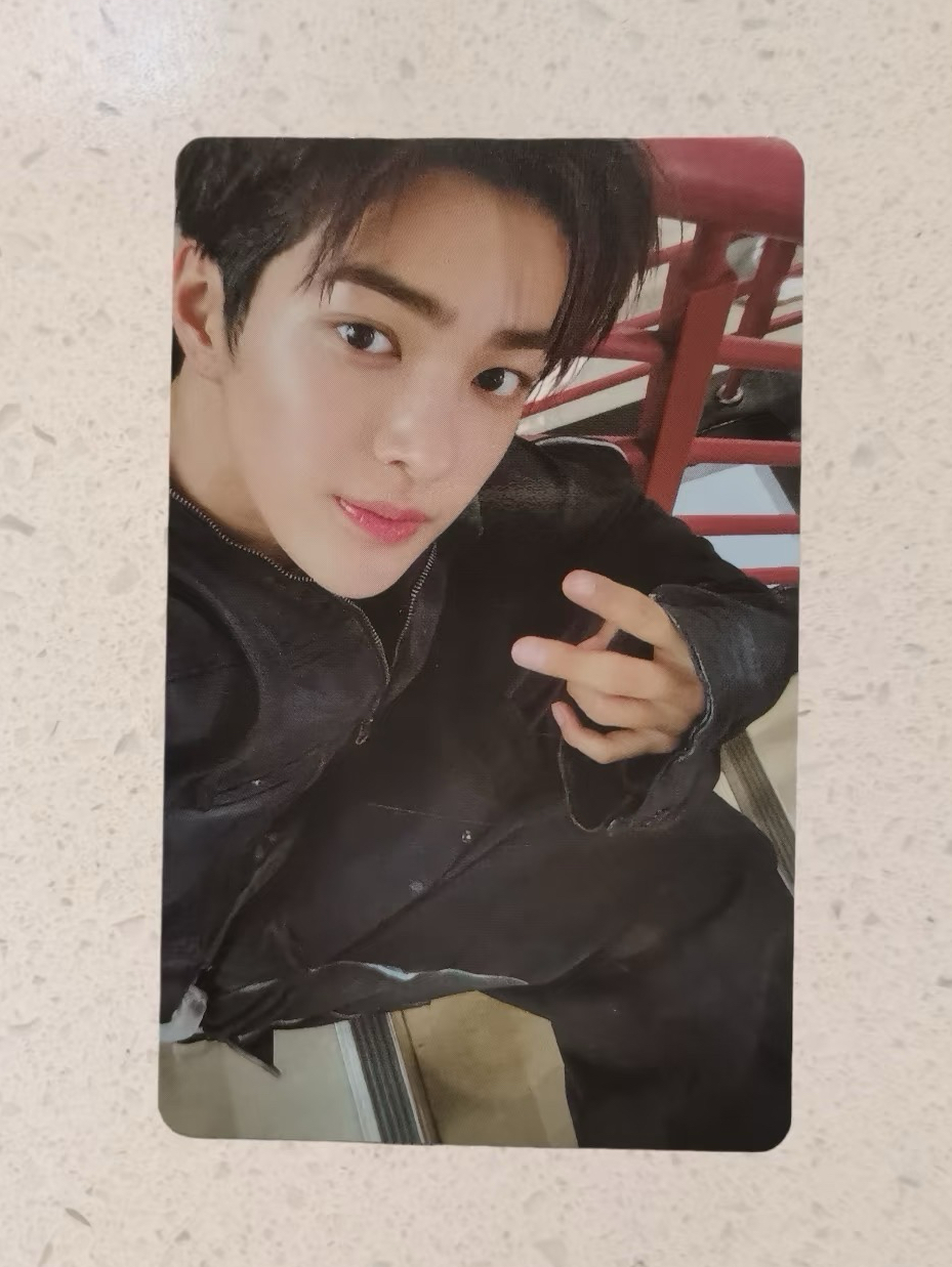 cortis wvs特別禮安乾鎬