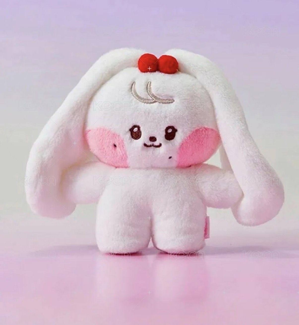 圓line friends 中娃