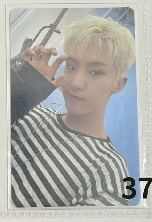 HOSHI DREAM專卡虎爪（綁$100）