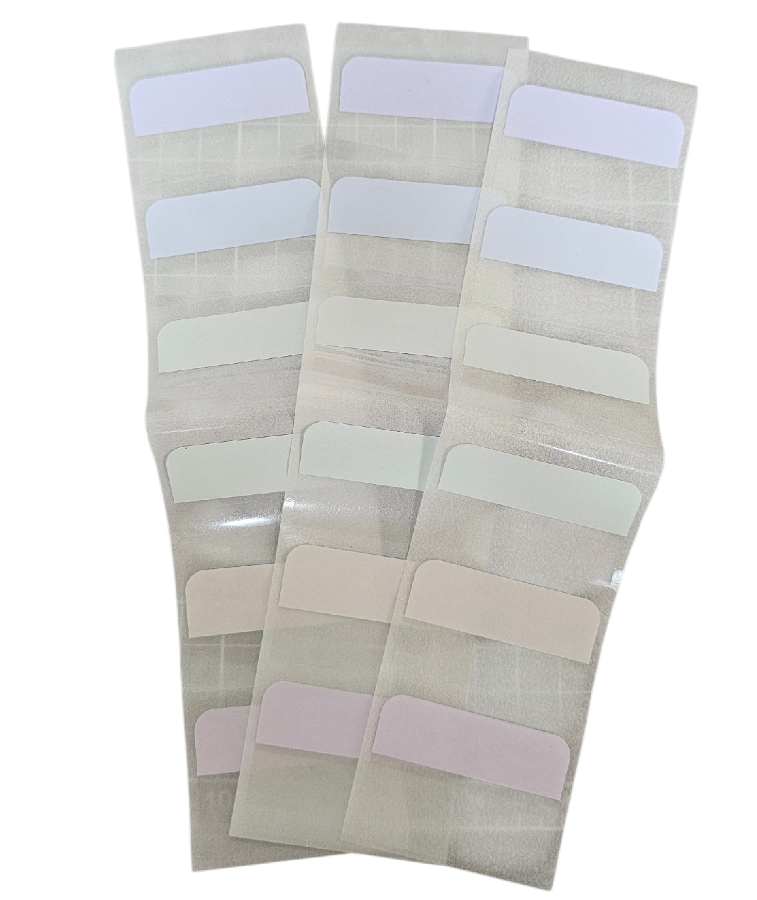 標籤貼 大（深+淺各1）