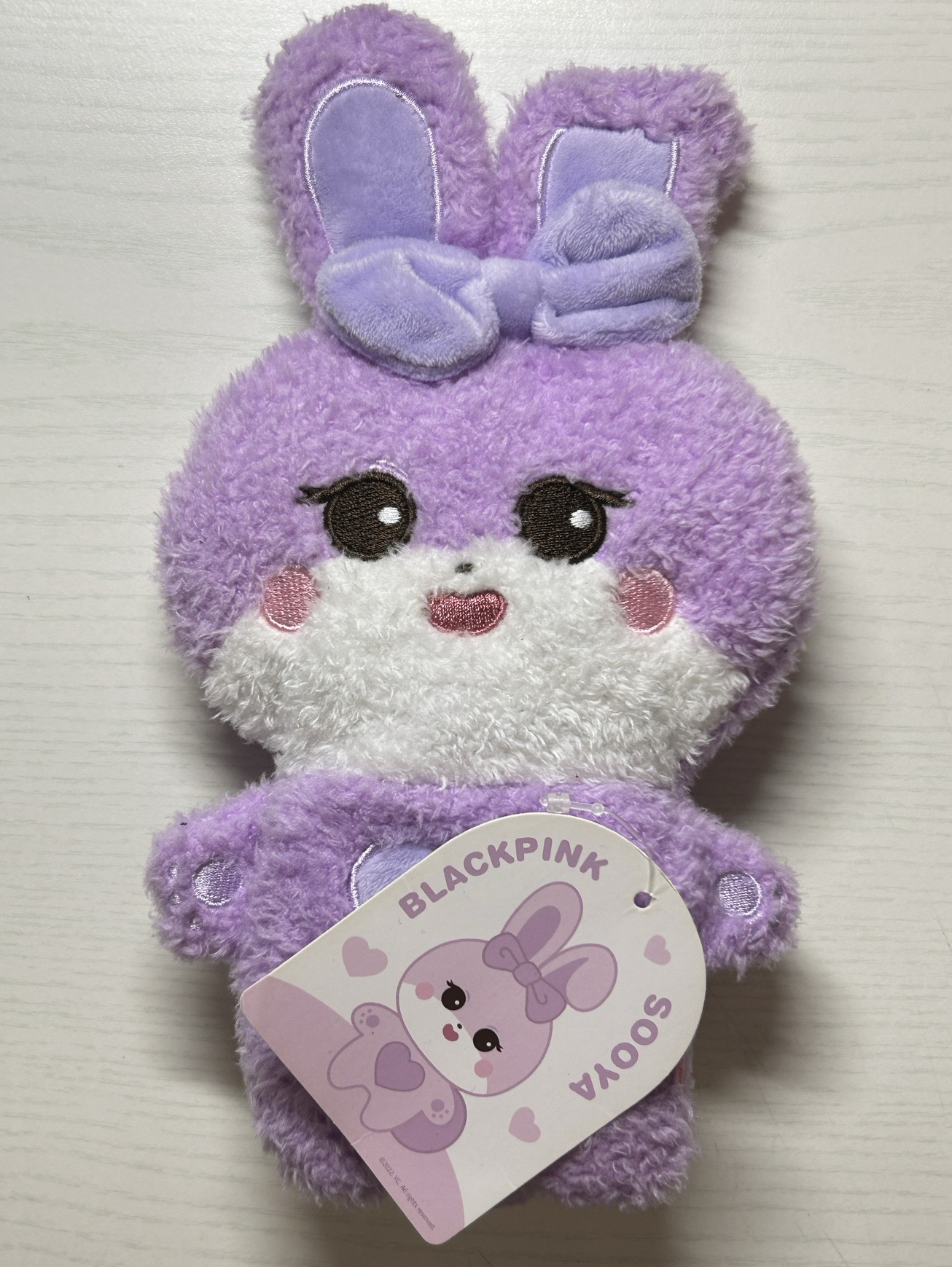 二巡Sooya收納包 有吊牌無原袋