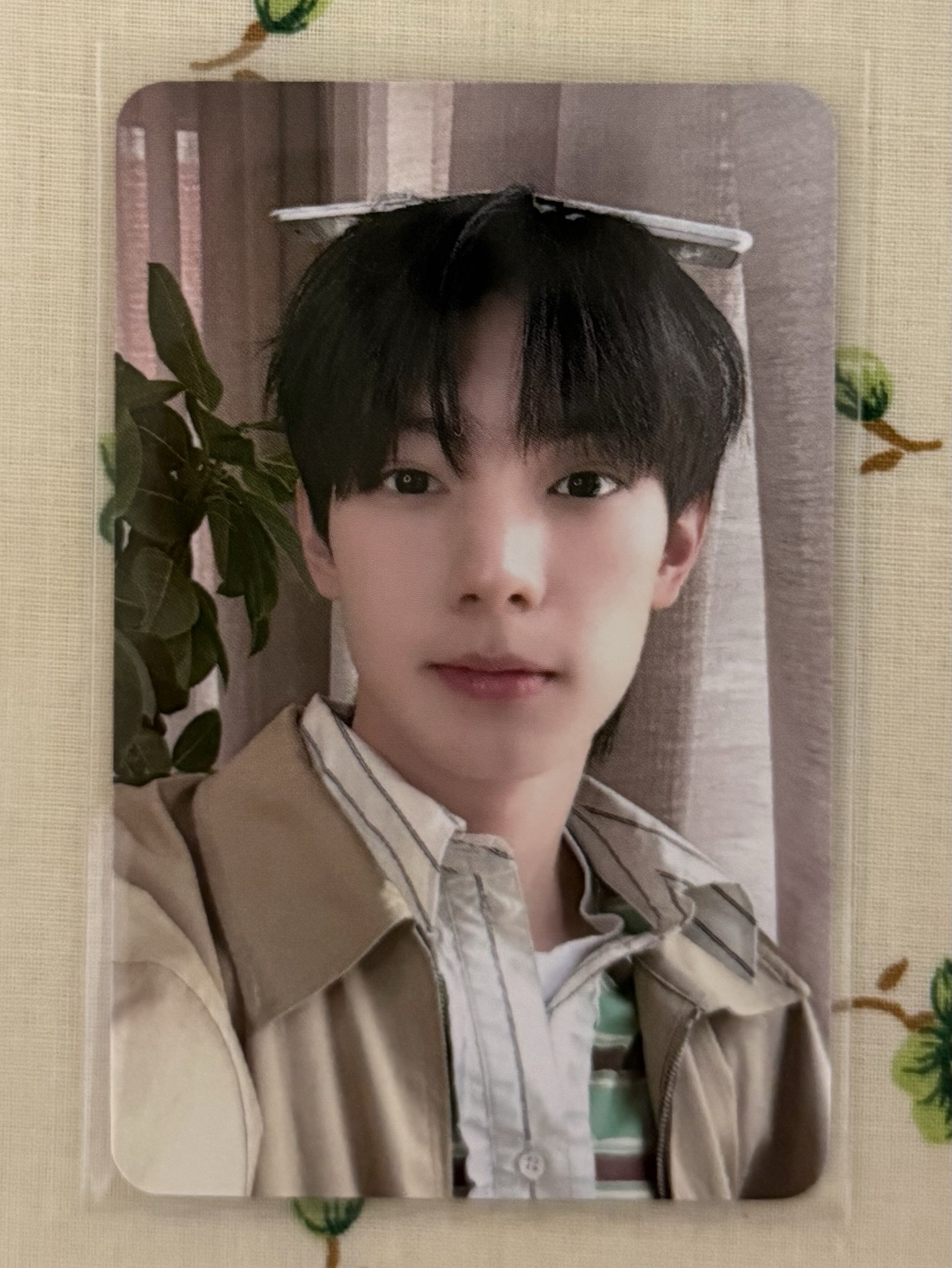 欸你看我頭上有手機