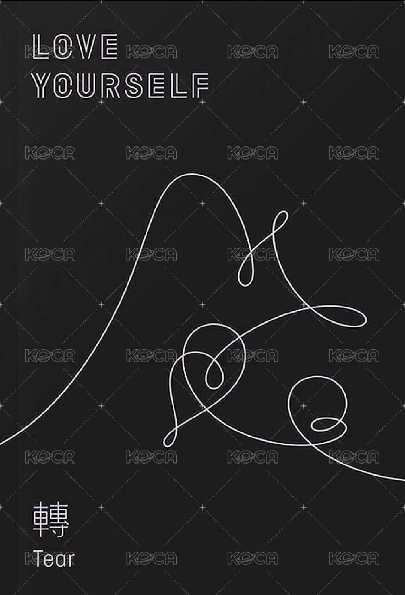 BTS LY轉 空專 ver.U