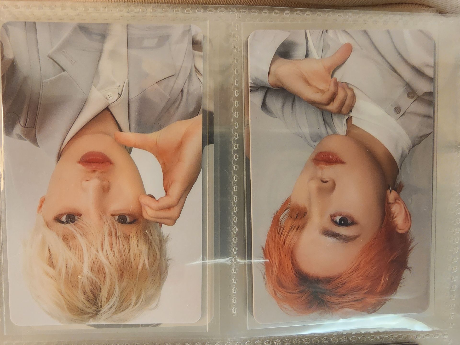 WTL 日巡滿額卡 羲承 善禹