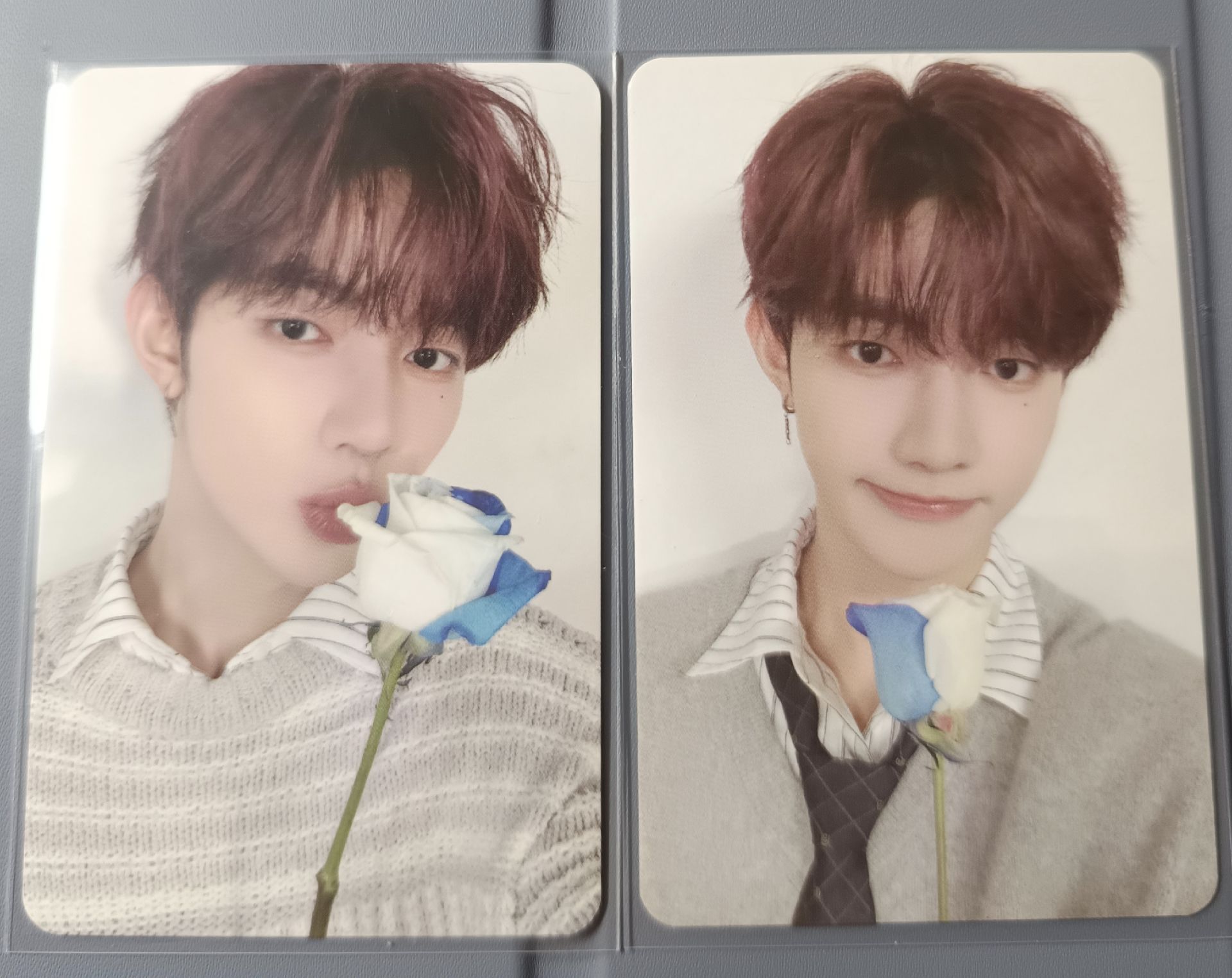 ZB1 三期會員禮卡 昊