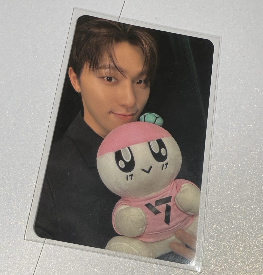 SEVENTEEN RIGHT HERE 美巡 衣服卡 李燦 Dino