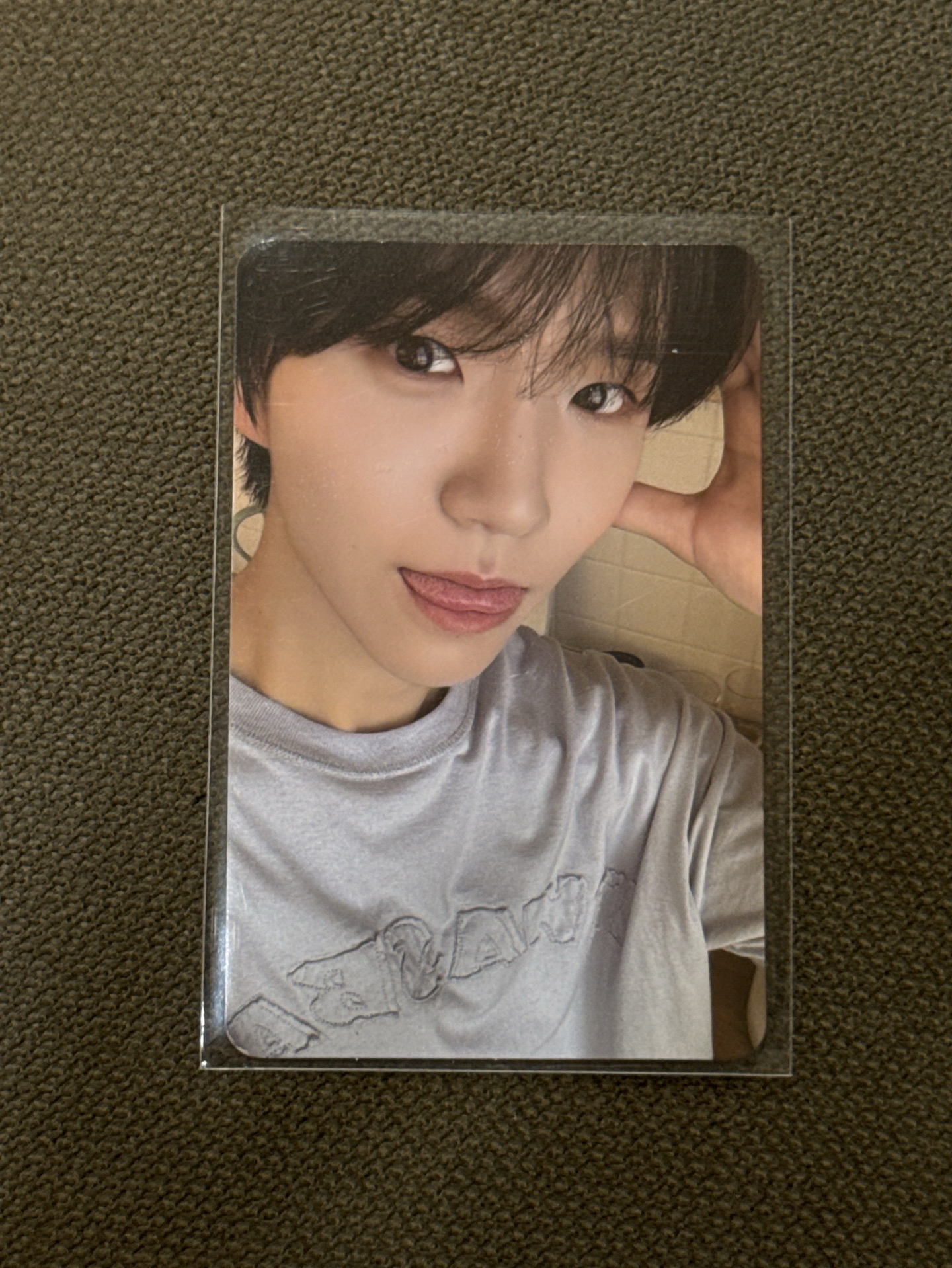 steady jaehee 五萬快閃滿額