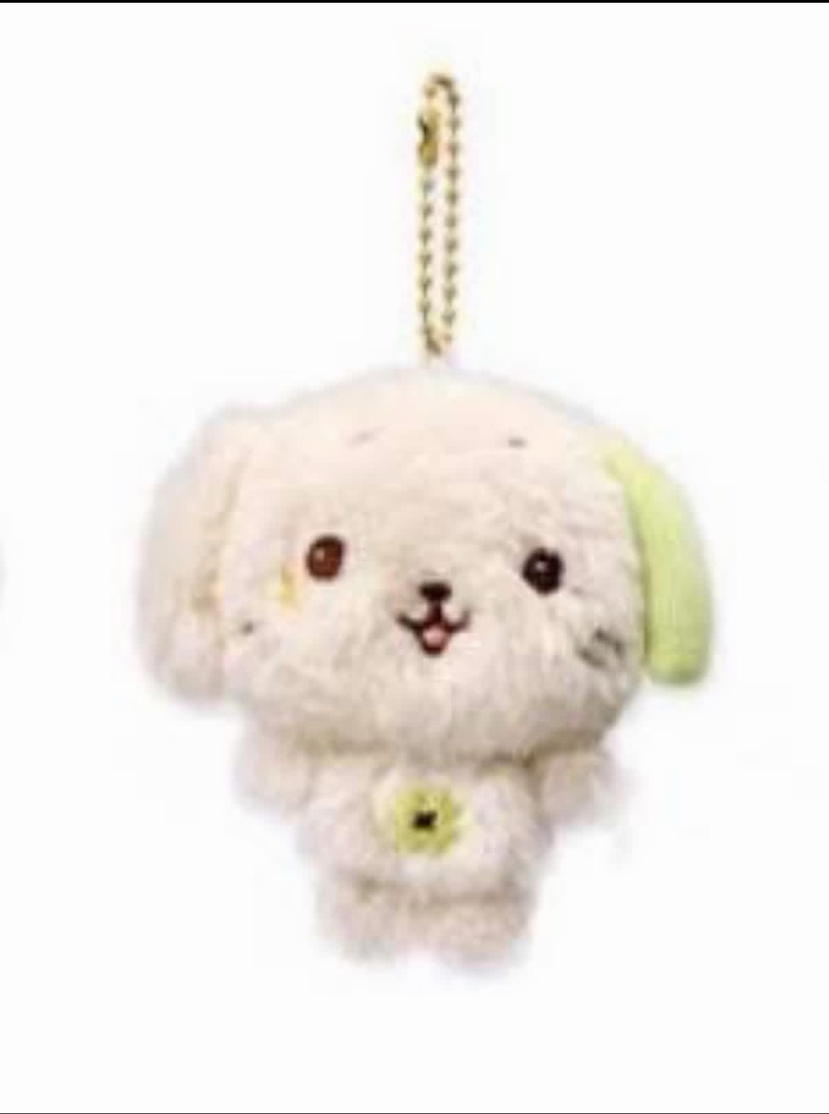 口袋娃🦭（保留）