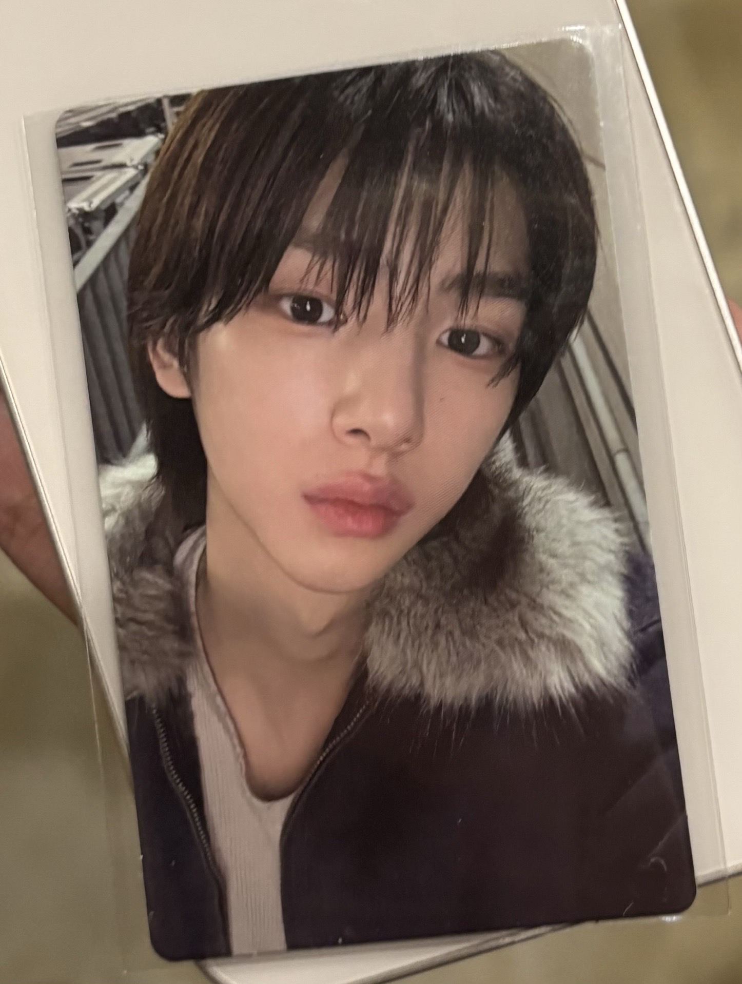 迷一 wvs 特典卡 2025年末禮