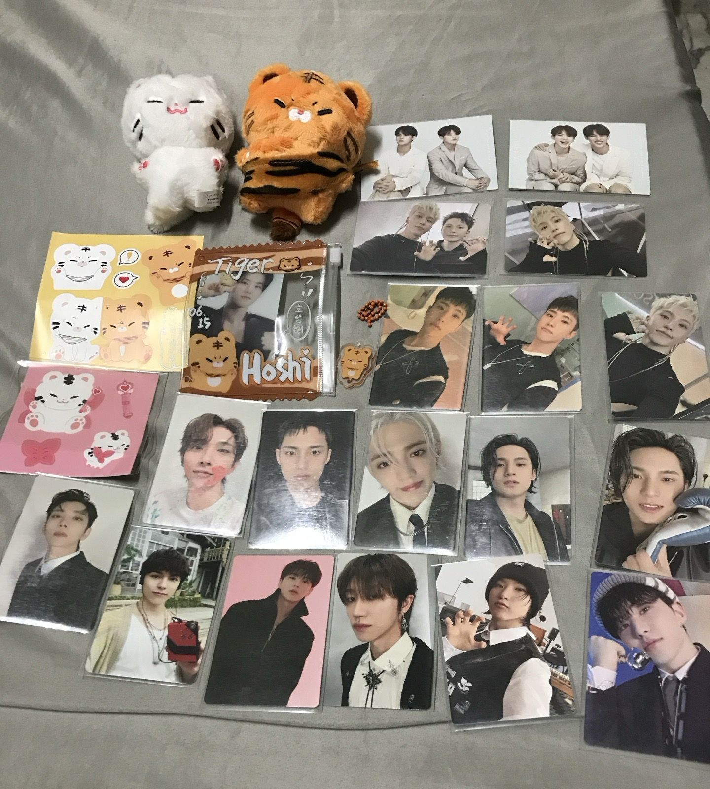 順浪+狂氣虎+小卡盤