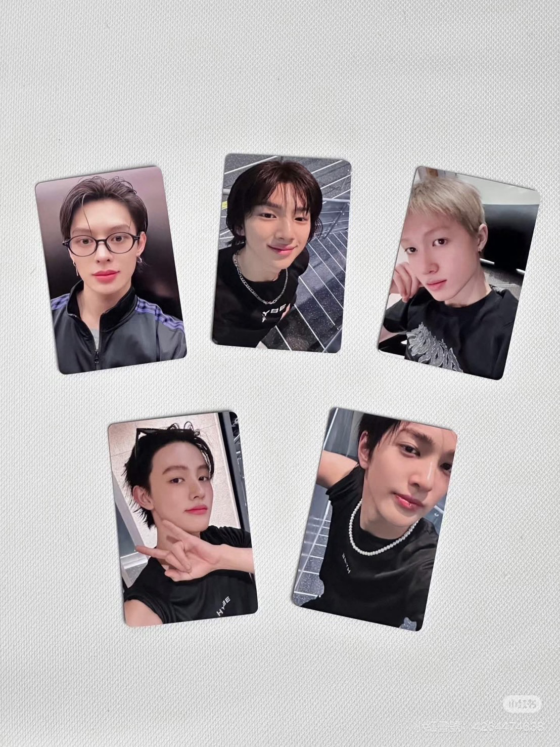 代友售 cortis安🐶