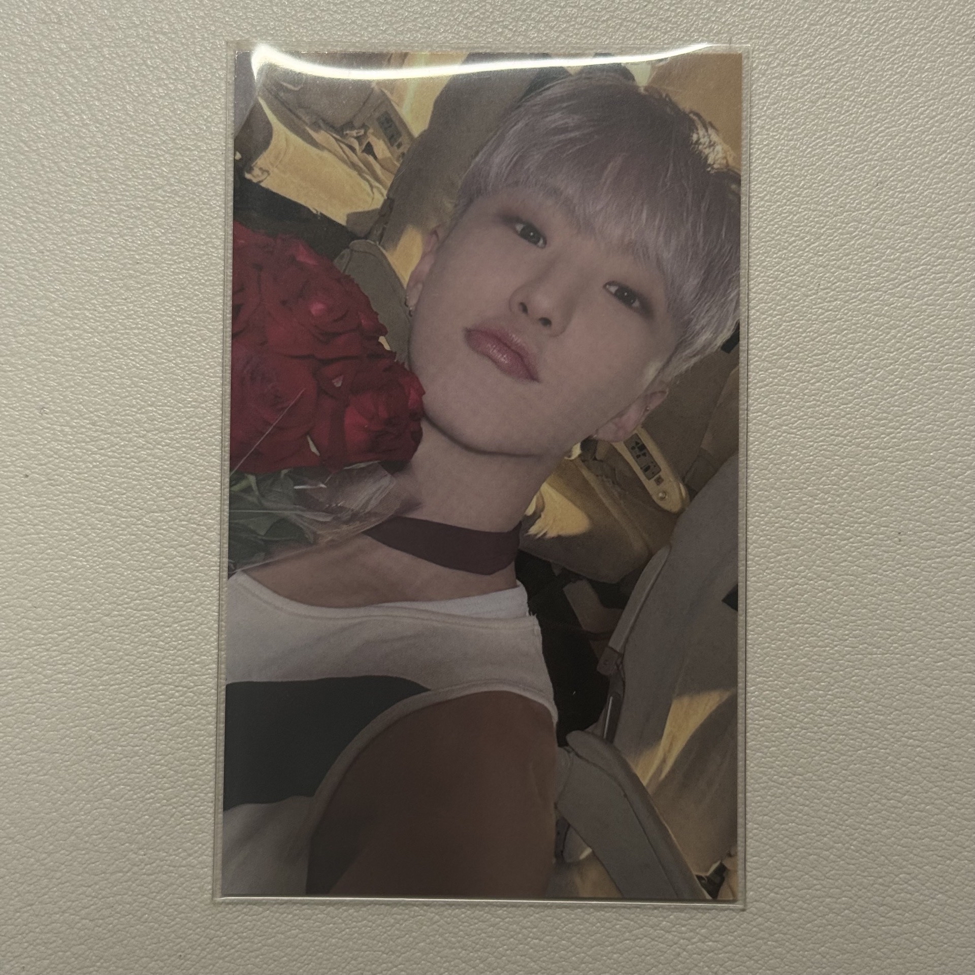 hoshi 迷十二大阪場限