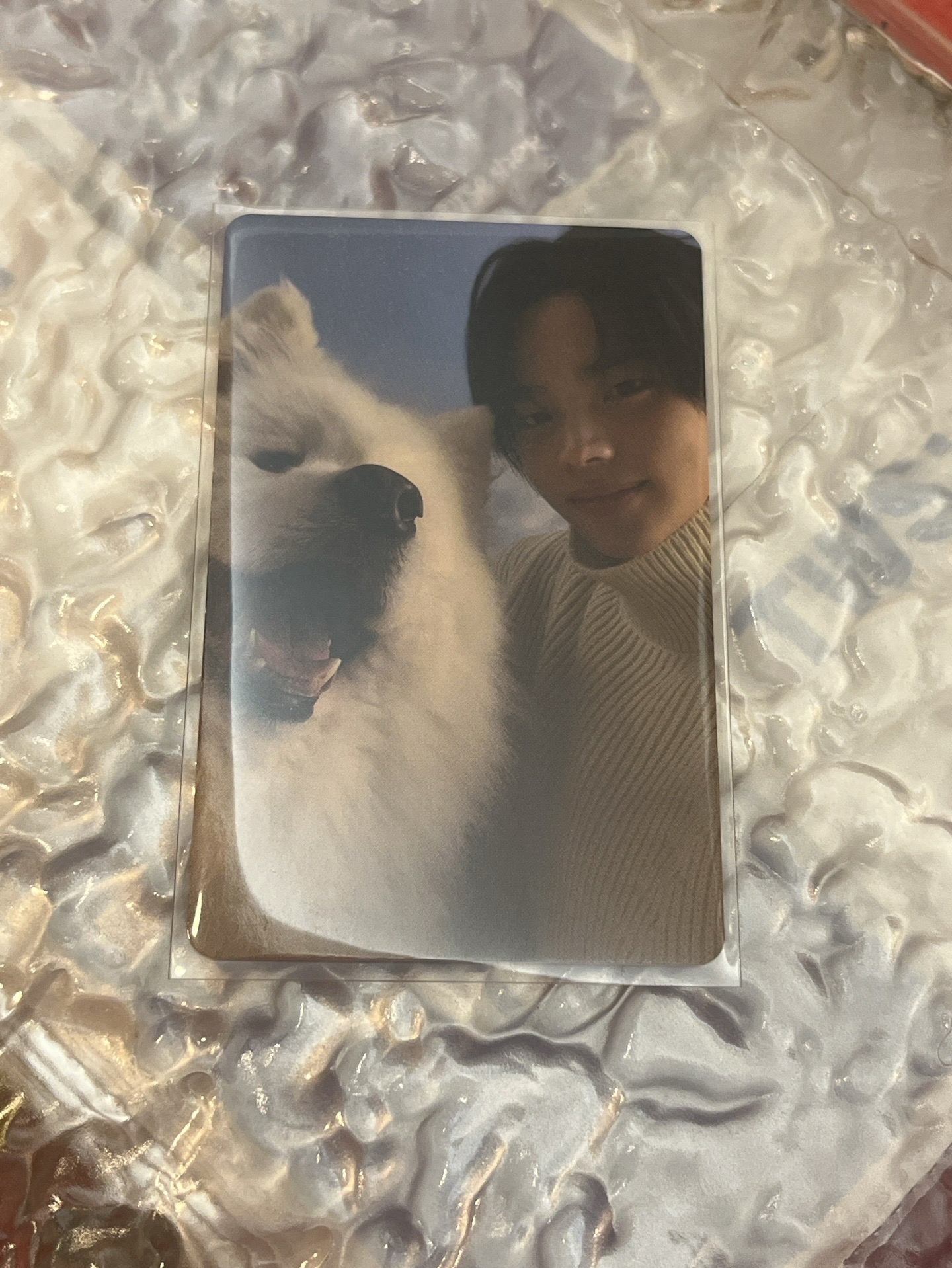 單曲 WVSJP特典 申惟