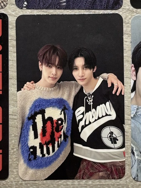 🐻‍❄️🐈‍⬛