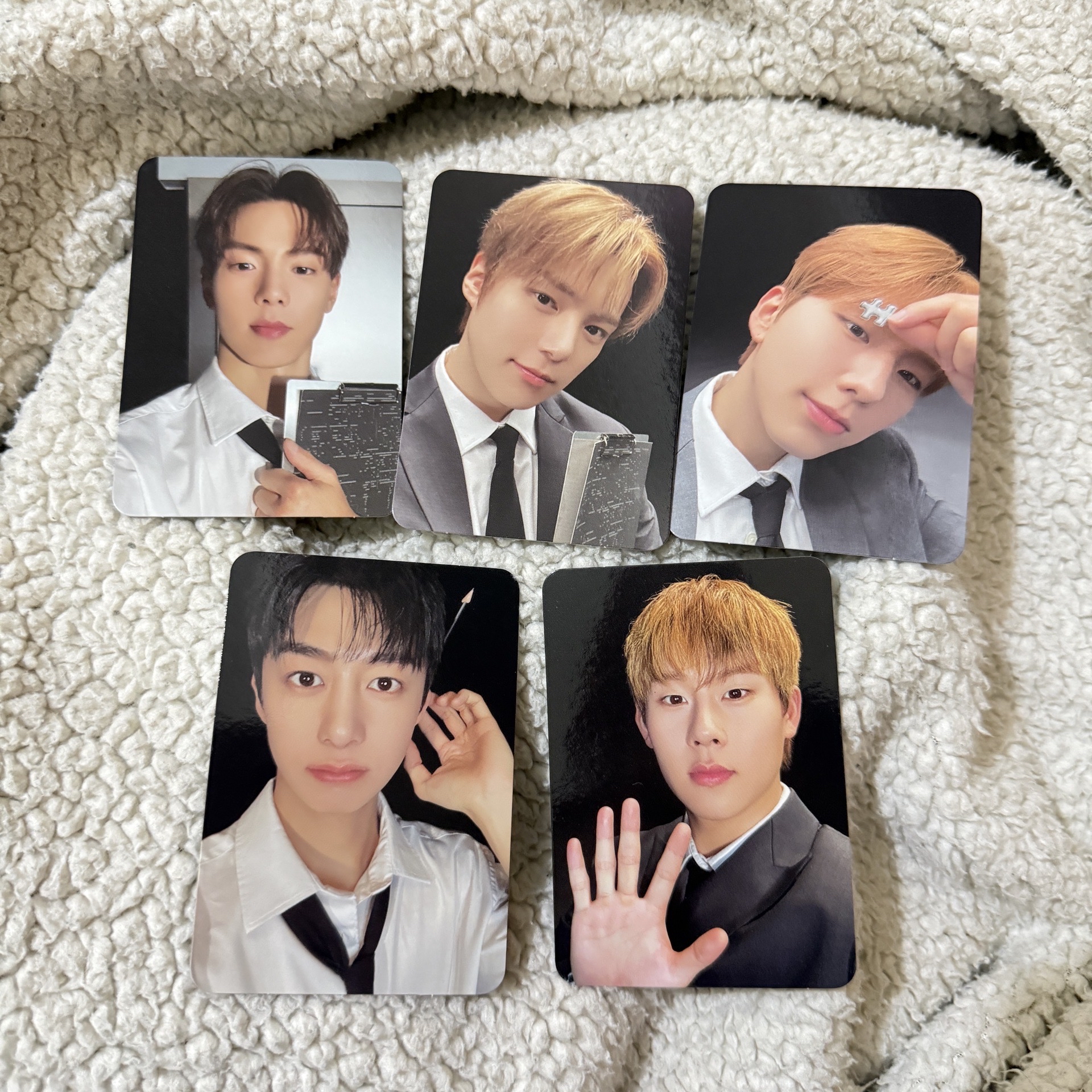 MX十週年Day2萌貝貝only