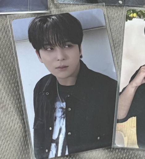 小熊瞪我 超帥。