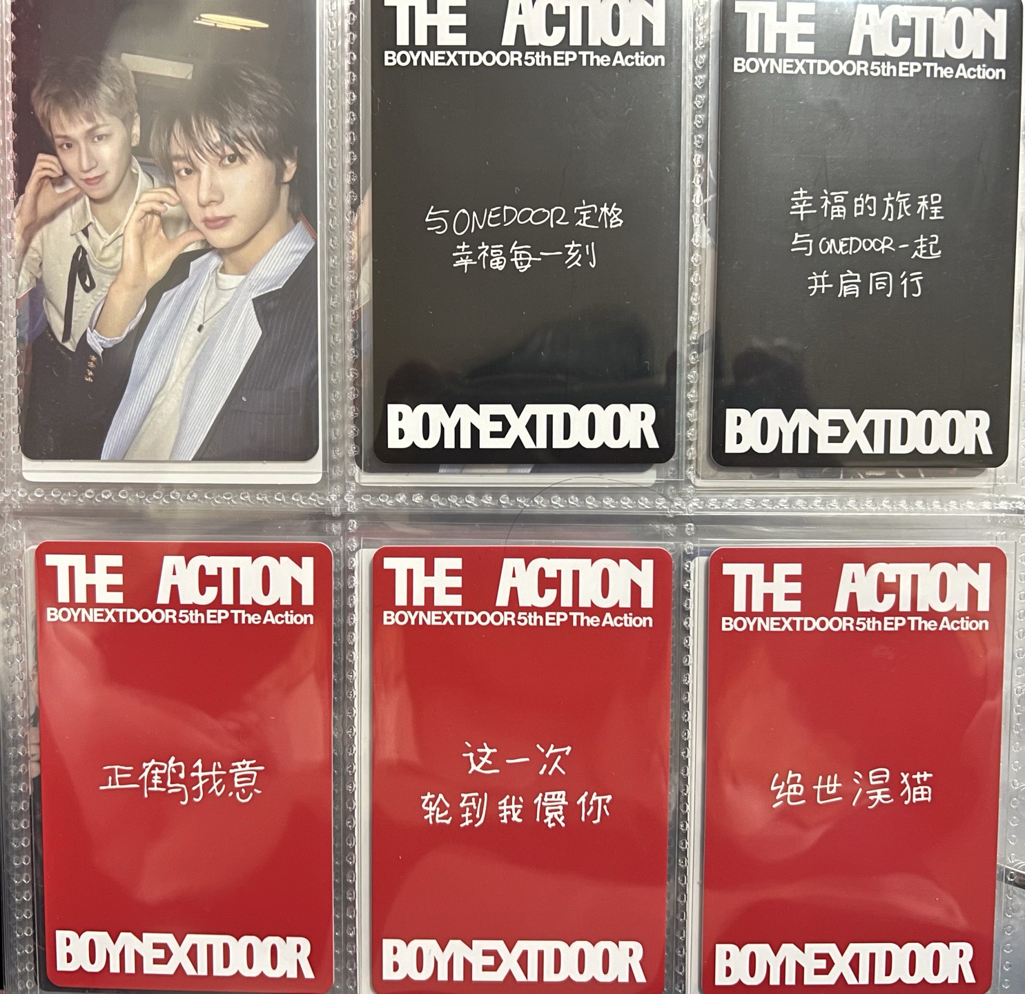 ✨一直娛 中背卡系列💖