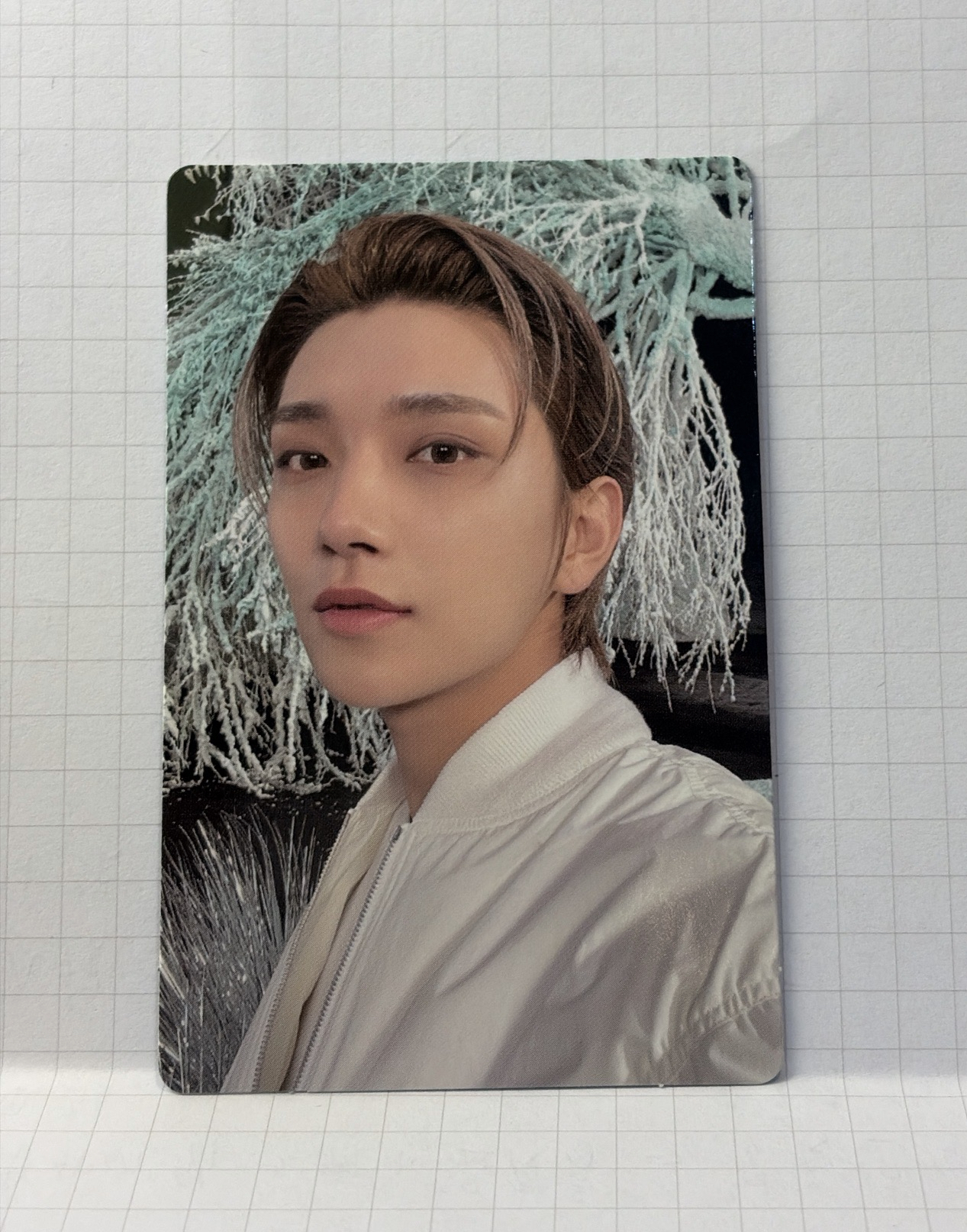 正規四後續：SECTOR 17