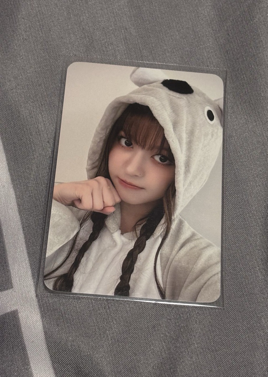 NMIXX 動物睡衣 莉