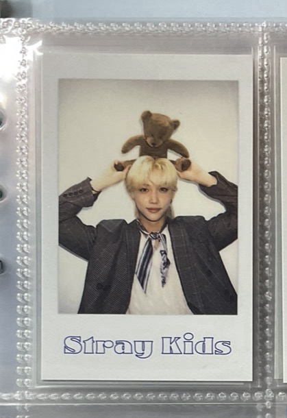 舉熊菲 限時降價到三月結束