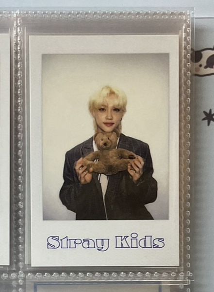 抱熊菲 限時降價到三月結束