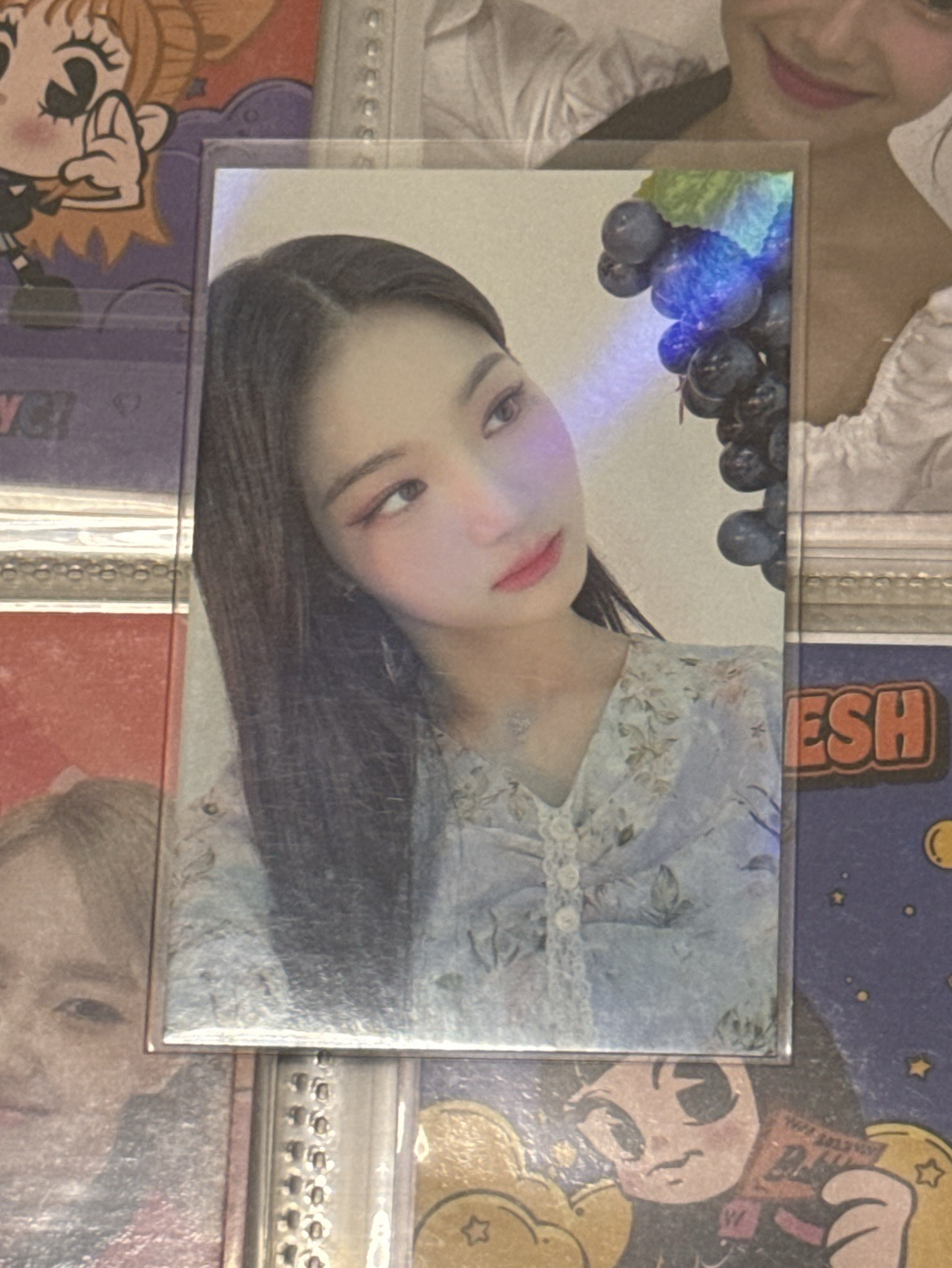 STAYDOM ms 2.0 特典卡 葡萄莎