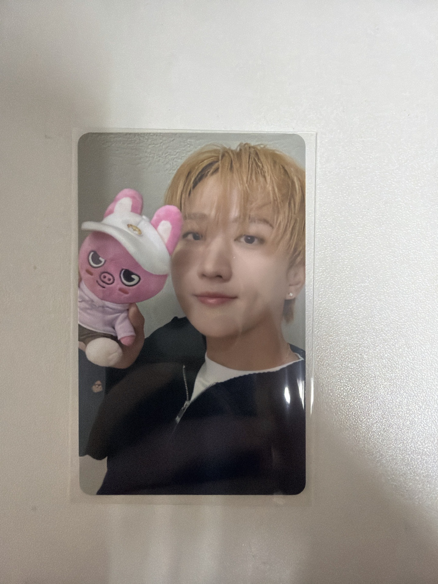 動物方城市滿額-彬