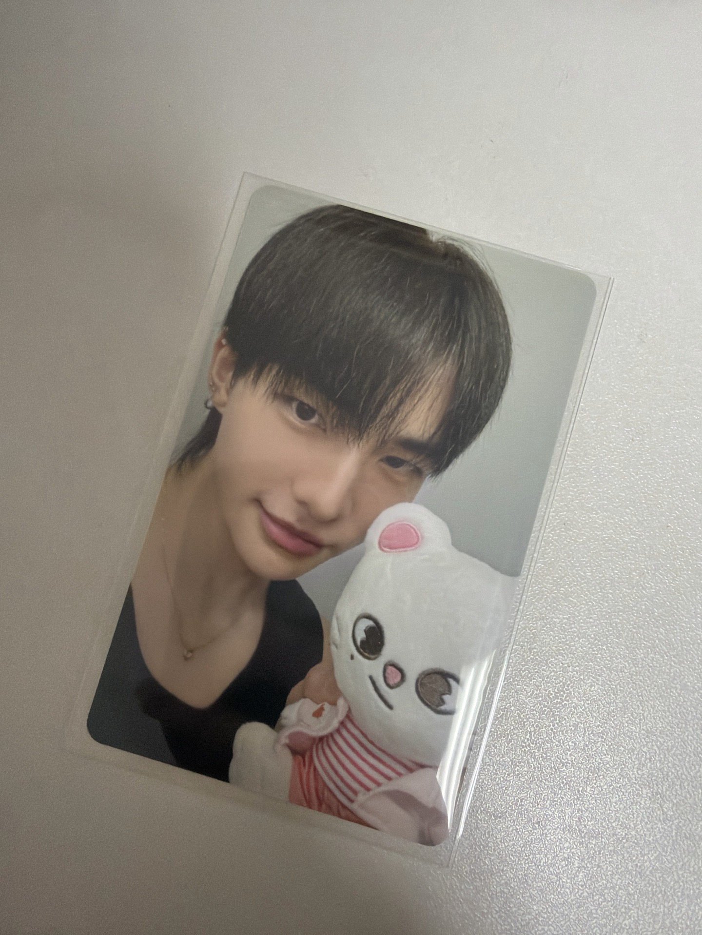 動物方城市滿額-辰