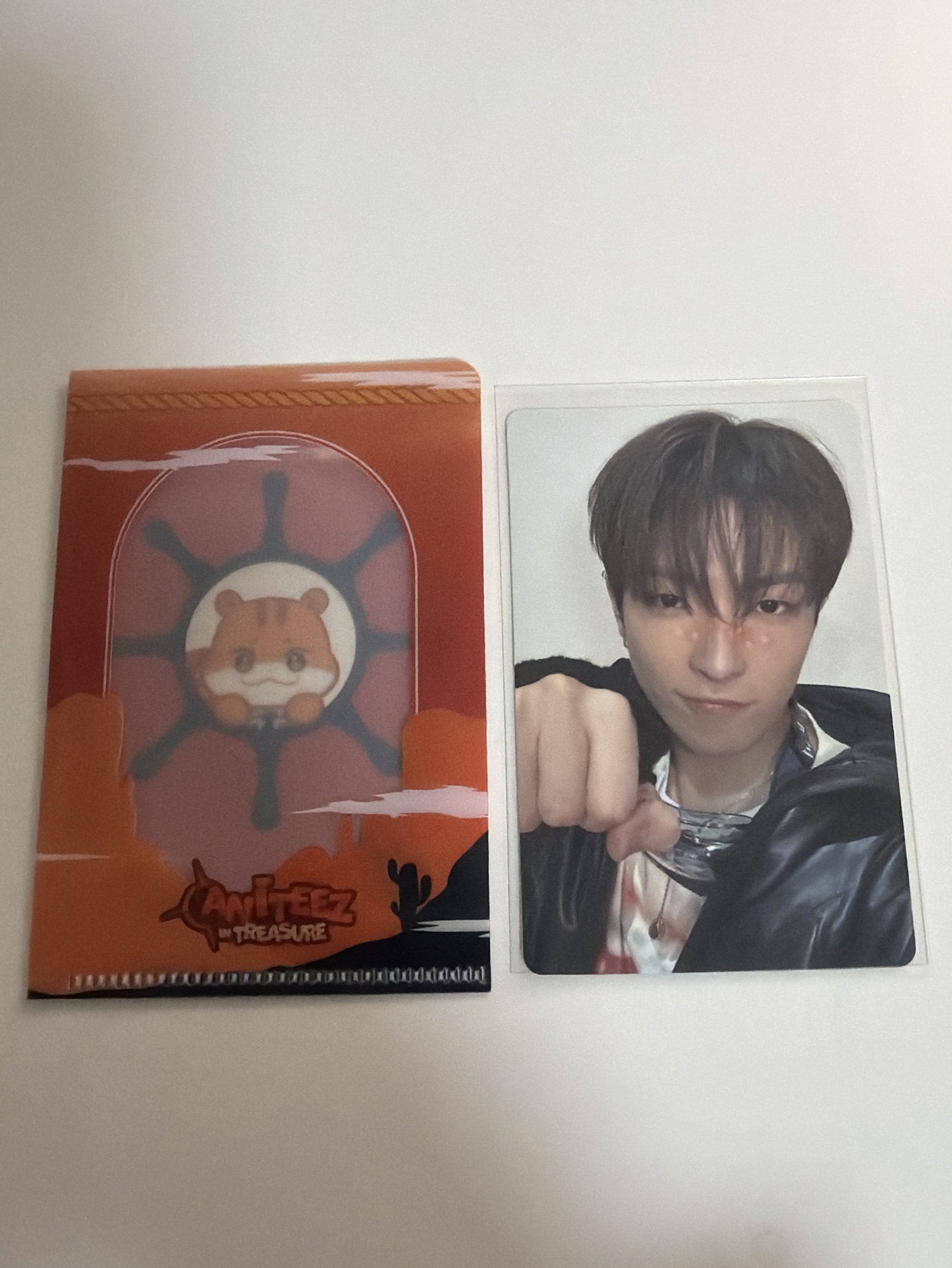 ANITEEZ IN TREASURE 任務卡