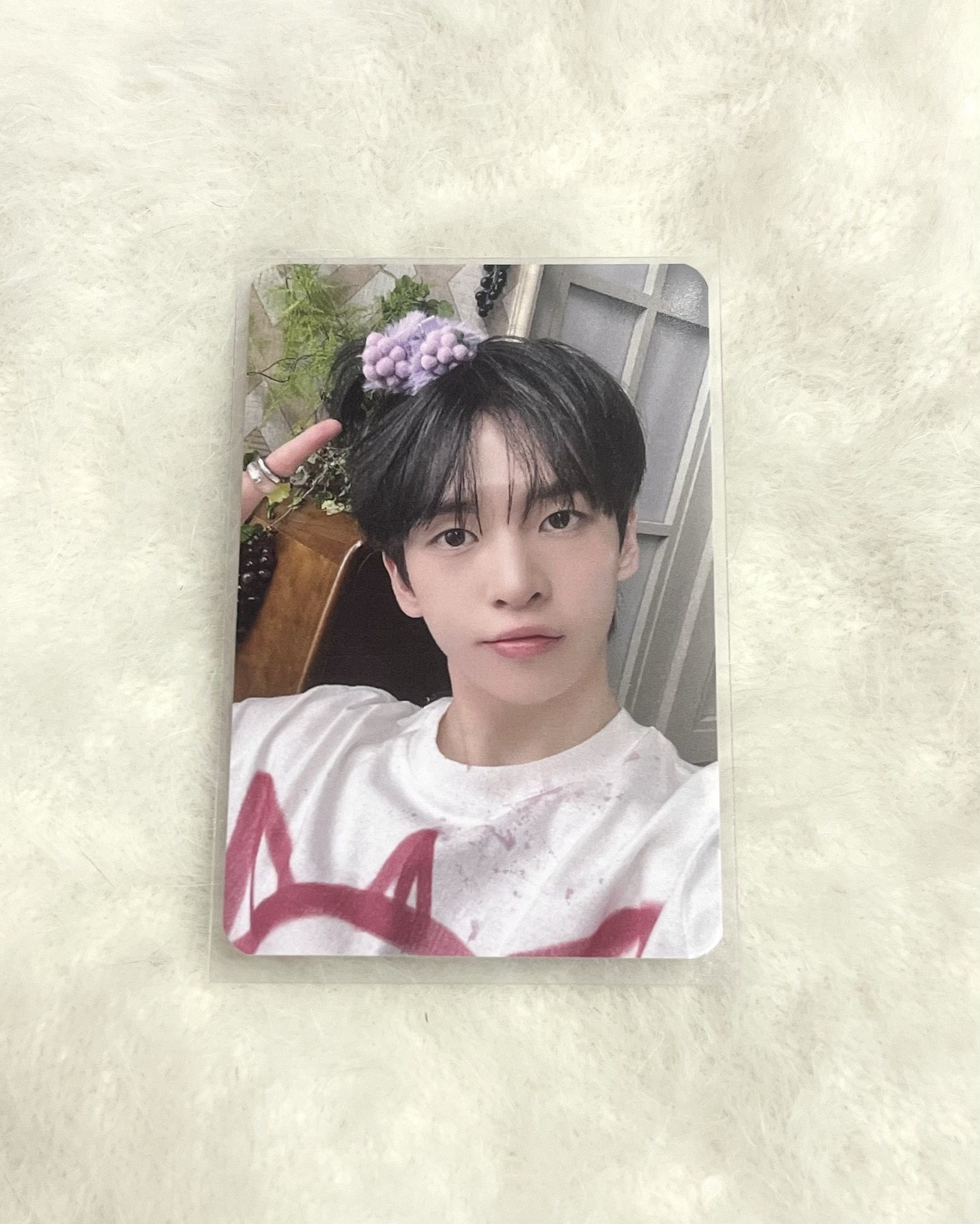 DtC sw1.0簽售卡 馬