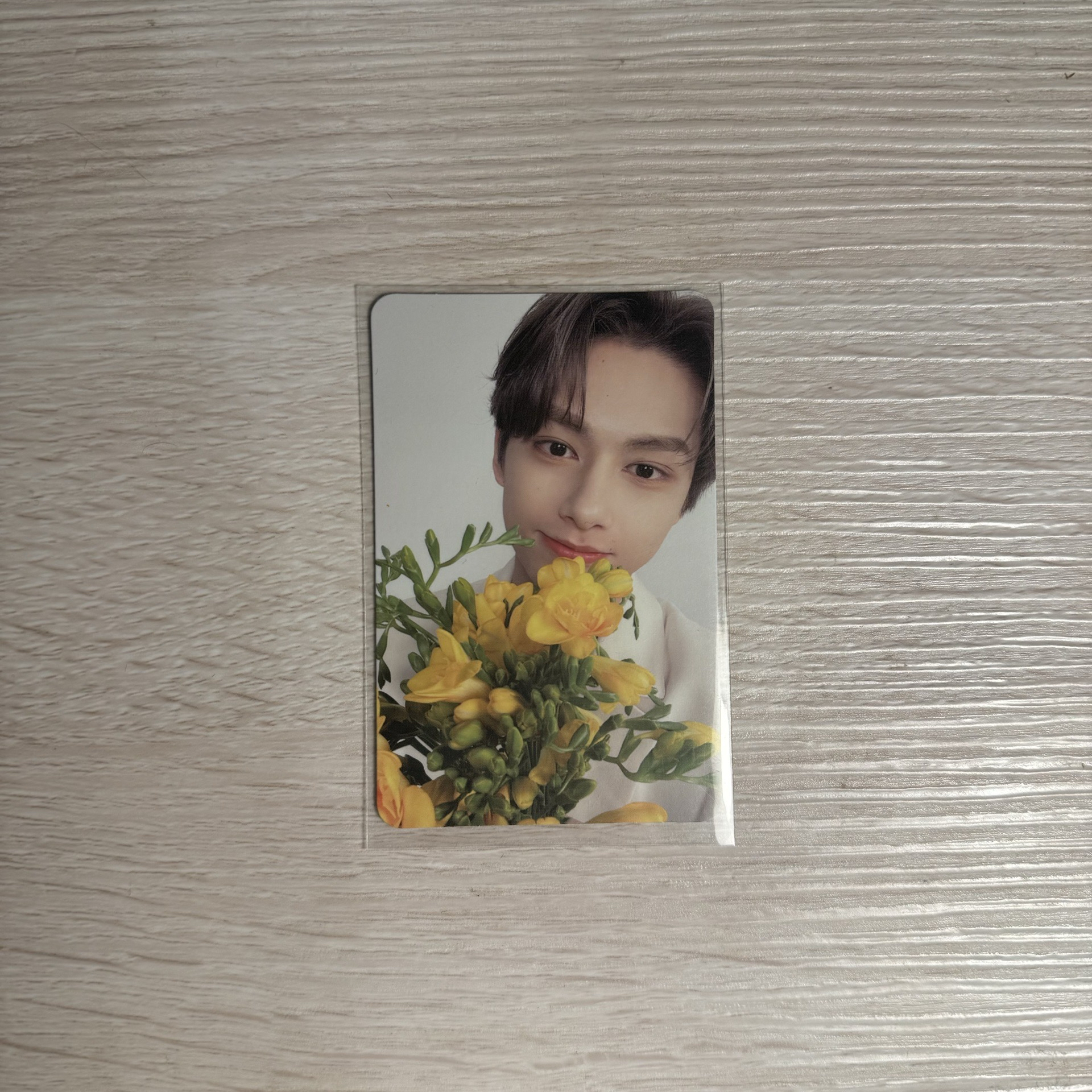 SEVENTEEN 文俊輝 mini8 專輯卡