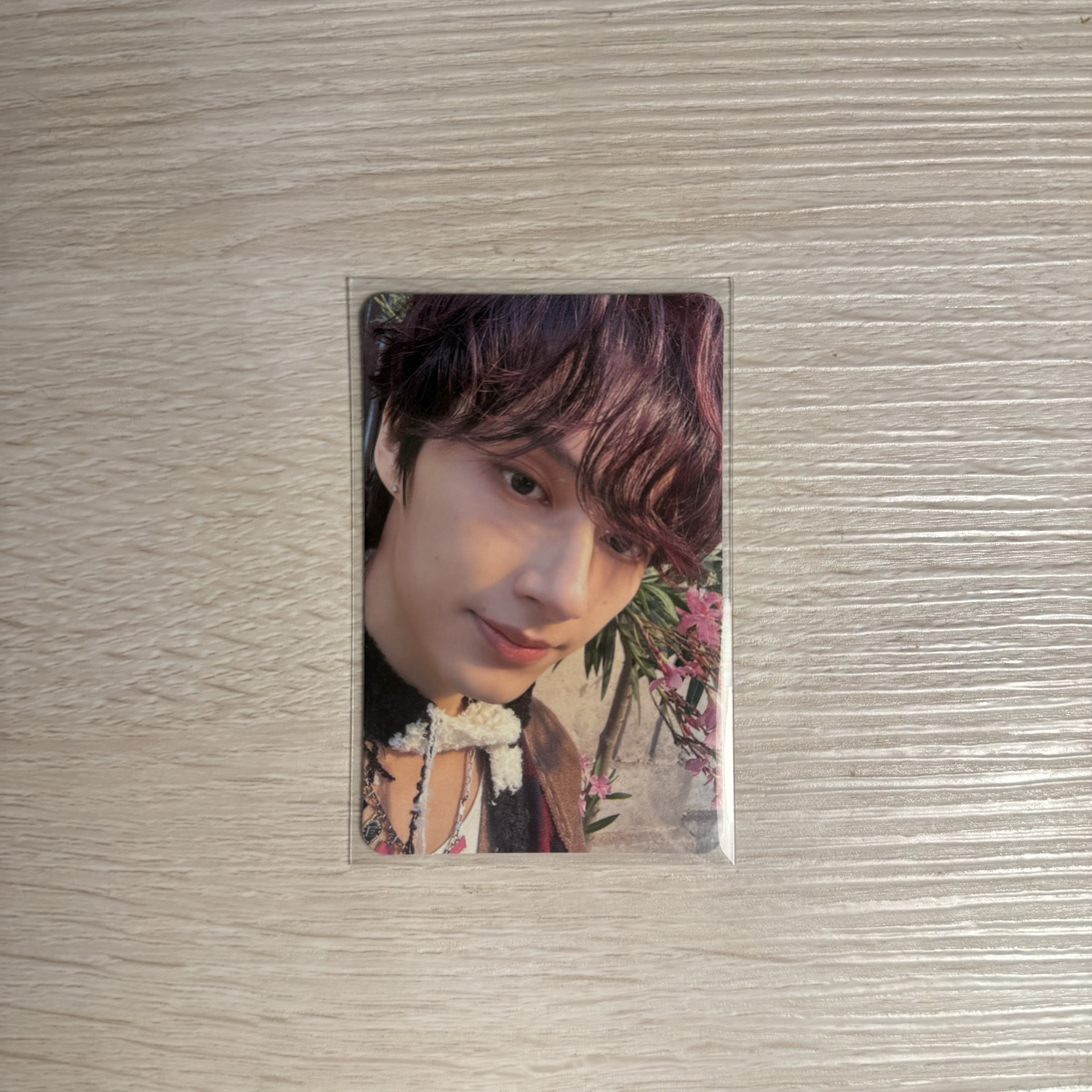 SEVENTEEN 文俊輝 mini11 蝦皮特典卡