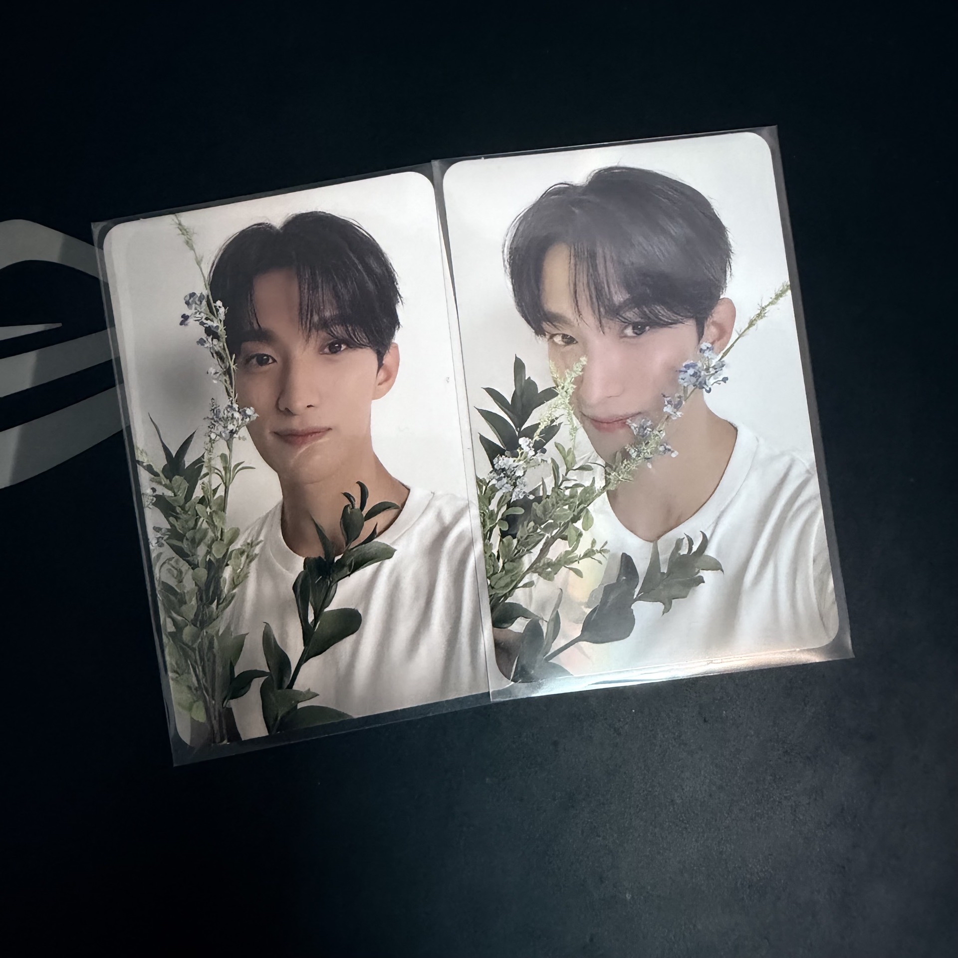 精選專 碩咪克拉盤專卡