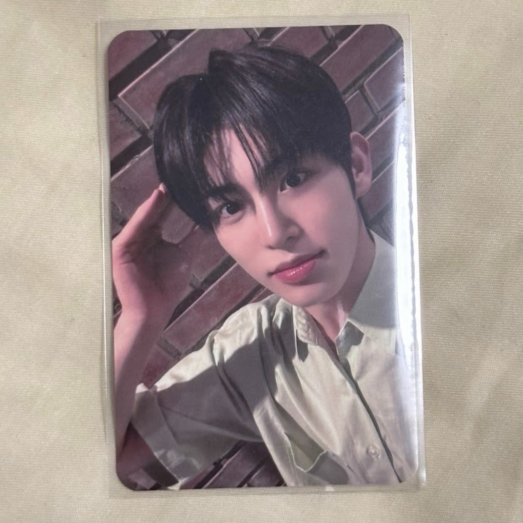 迷一 bdm狗耳預售 旻帝