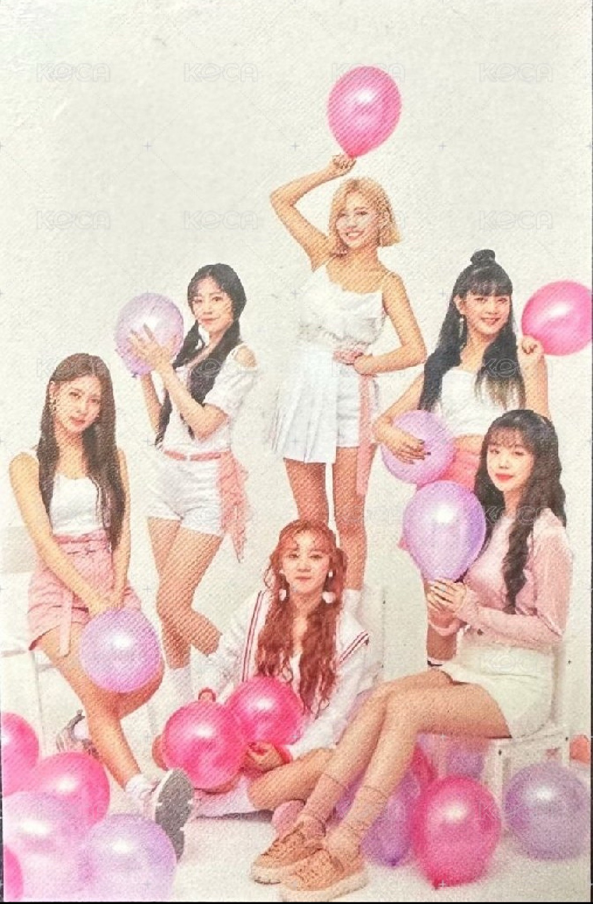 一期會員禮團卡