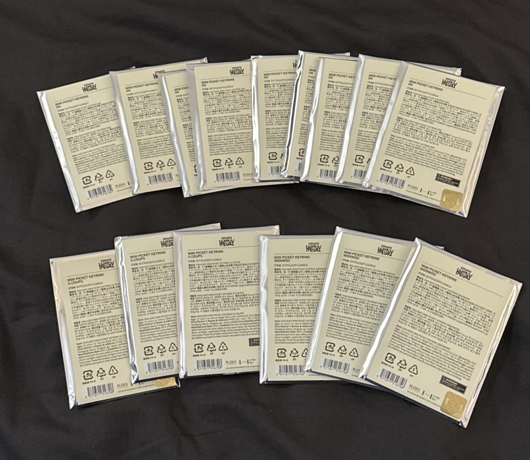 快來賭博❤️‍🔥holiday小扇 未拆（喆圓碩） 