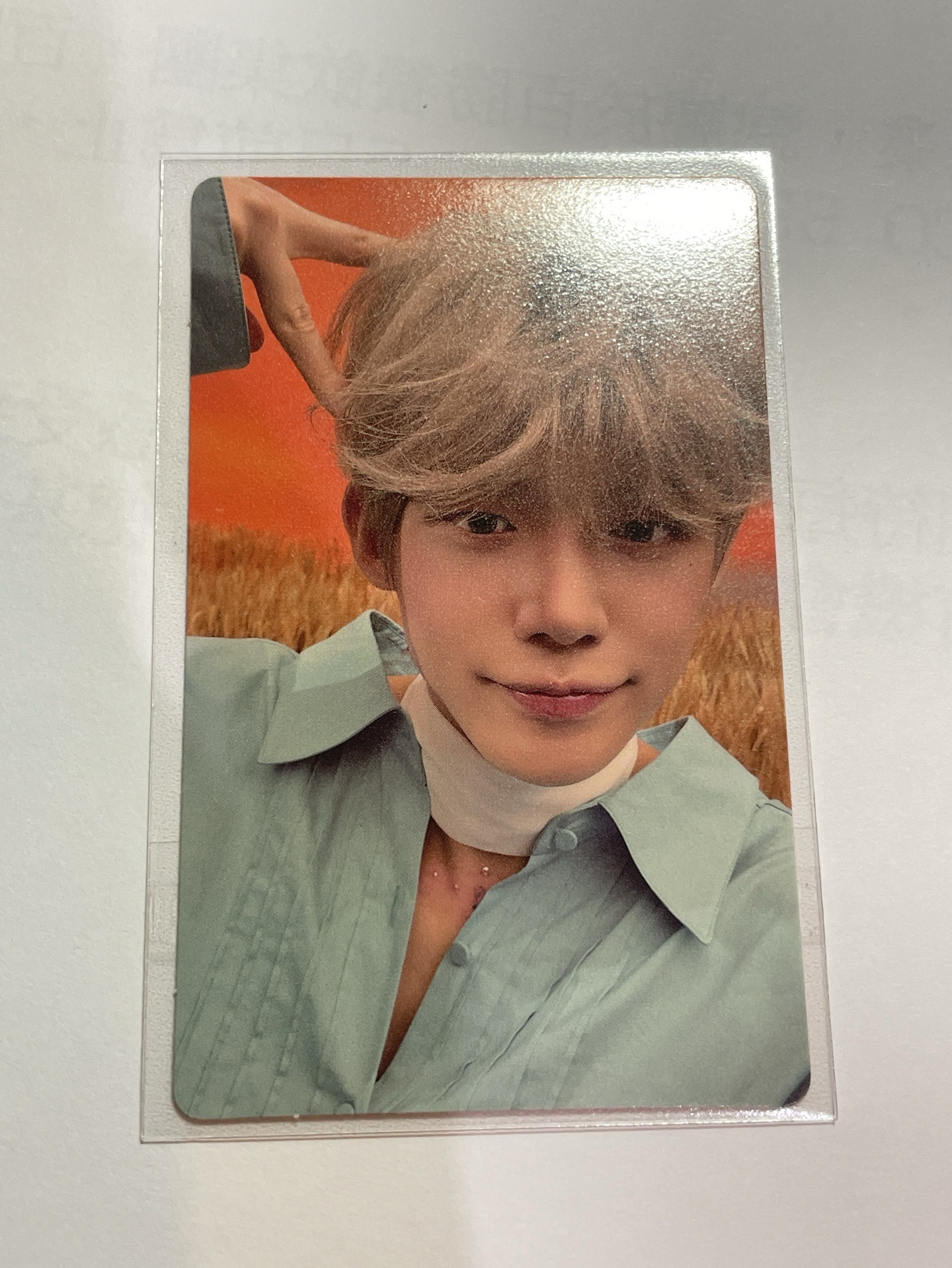 迷六 wvs 特典卡 貓耳竣