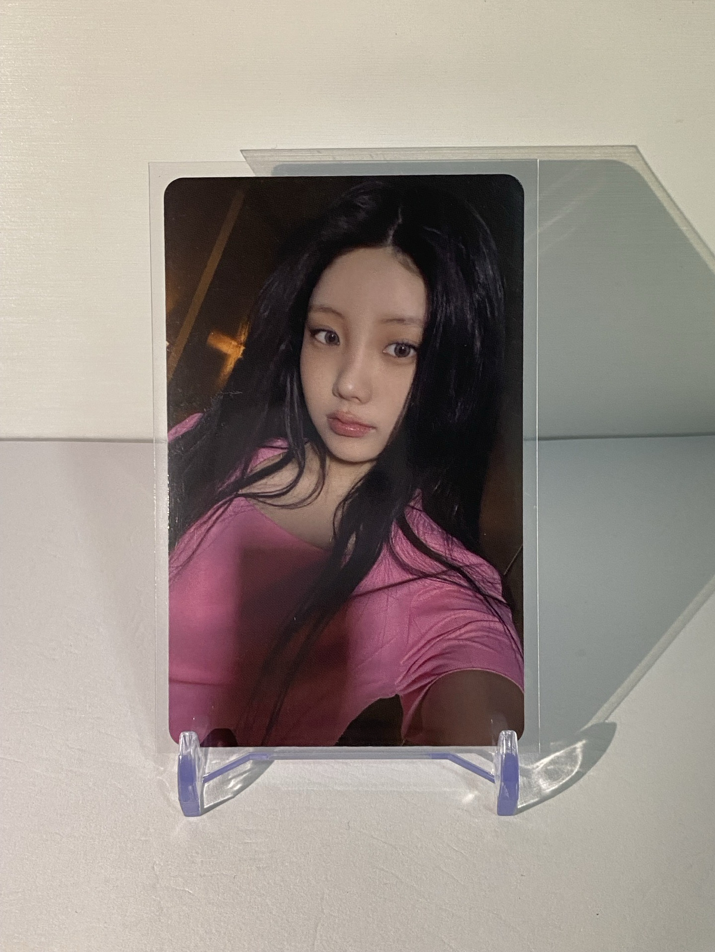 🔴wvs FanParty 直播卡