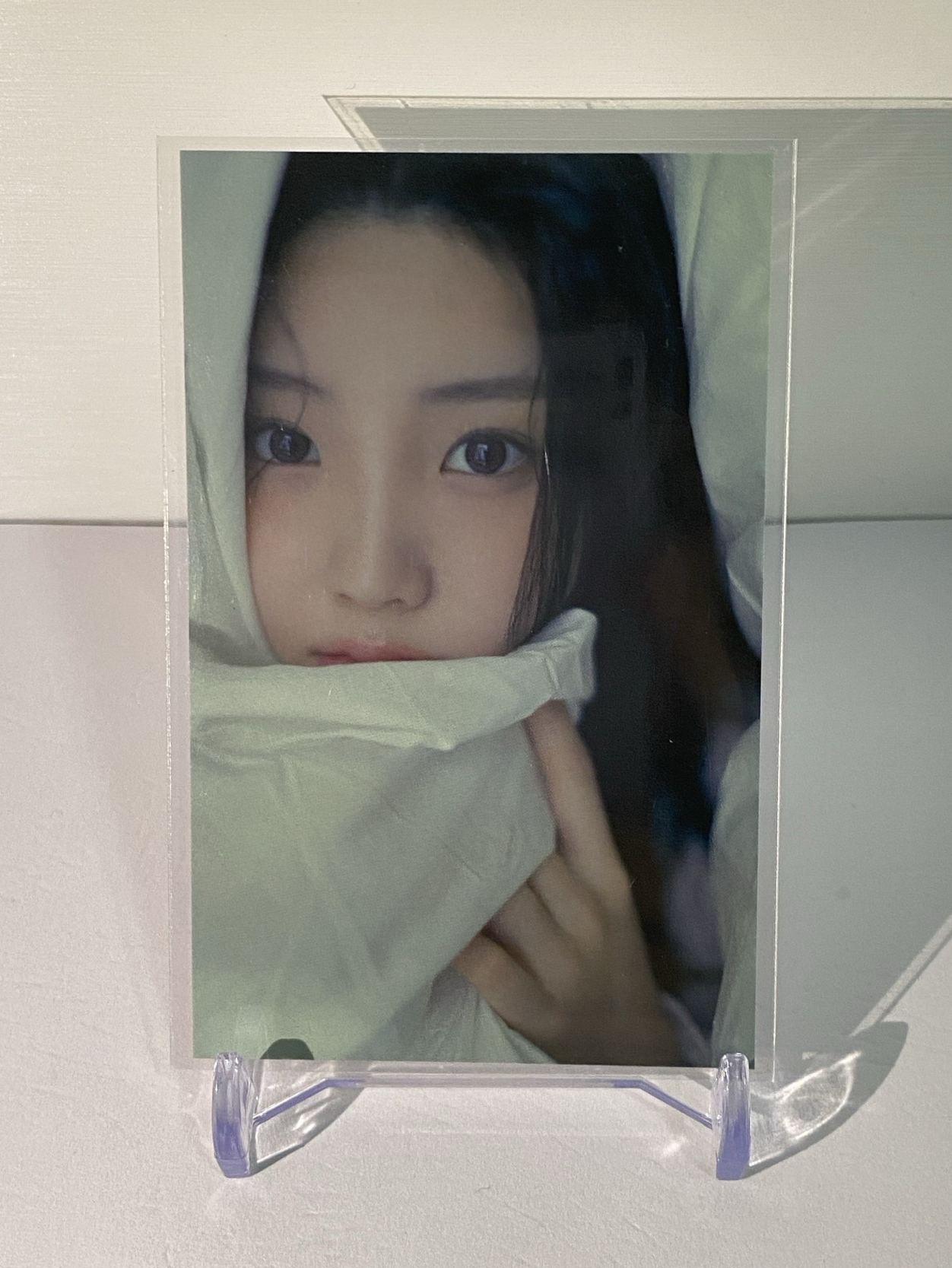 🟡環球 預售 特卡