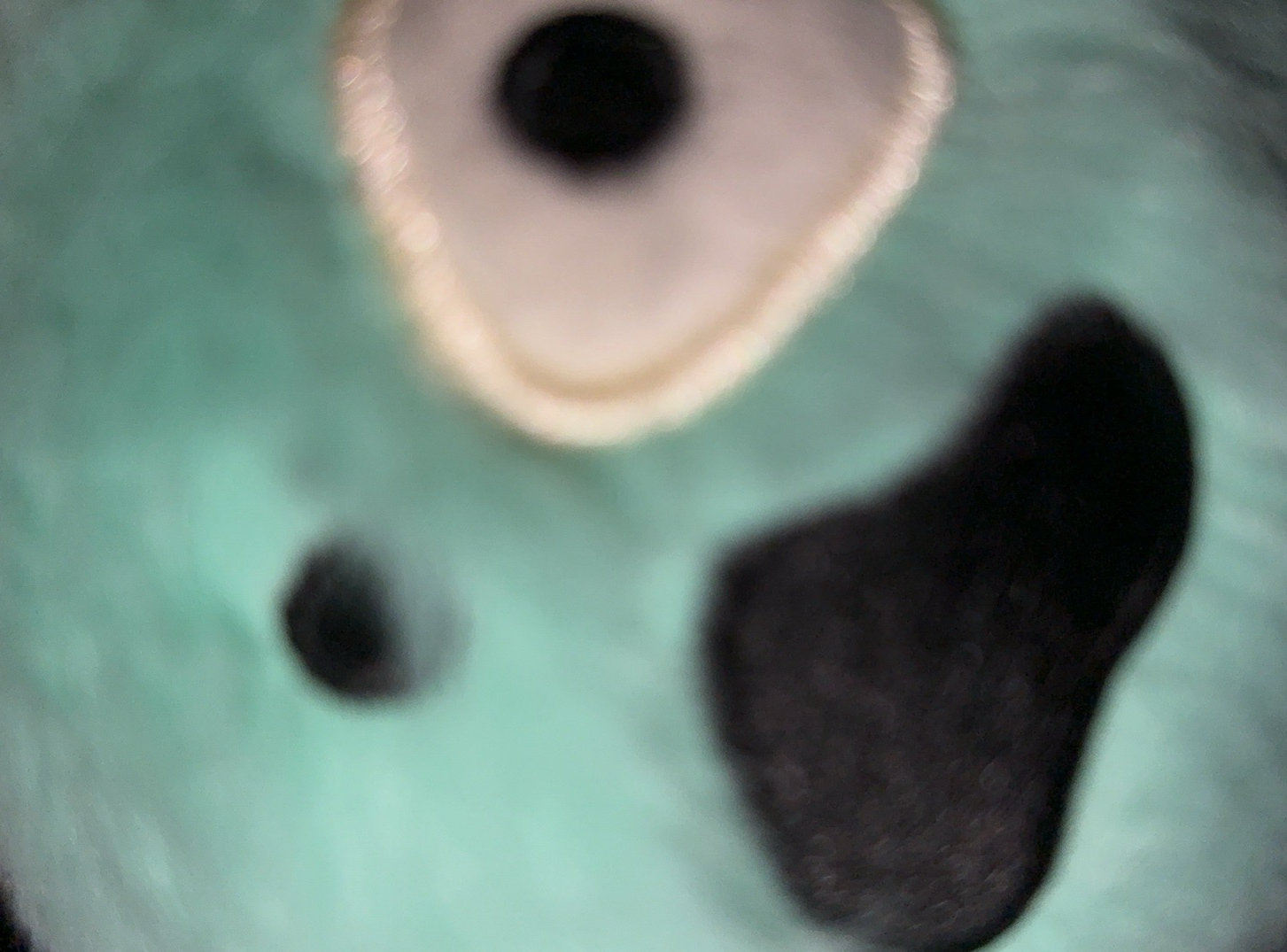 Cortis｜K4 wvs2.0 OY yzy1.0/2.0/4.0/5.0 BDM MA年末 MK ST