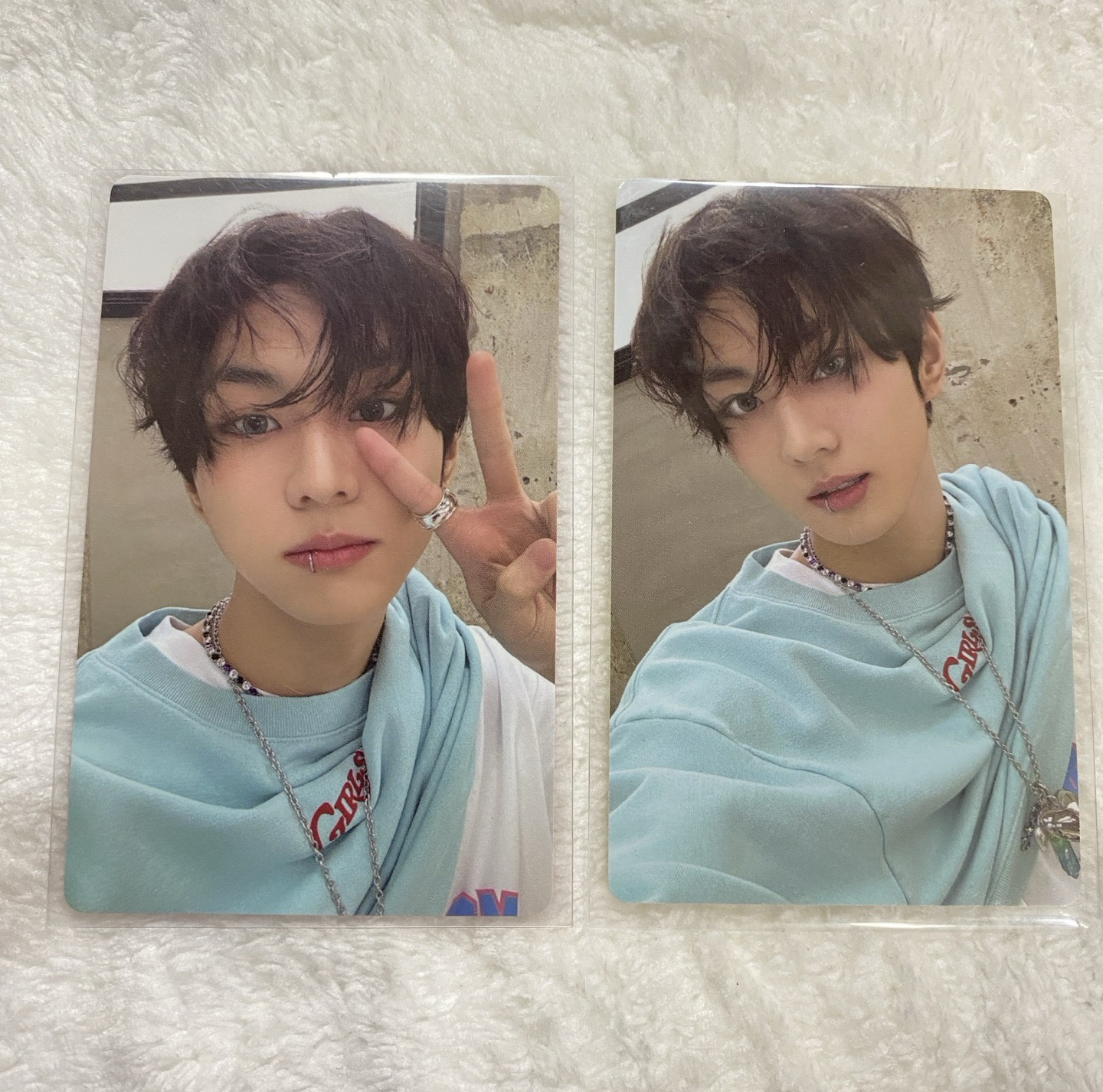 禎元 正二 黃版 專輯小卡 