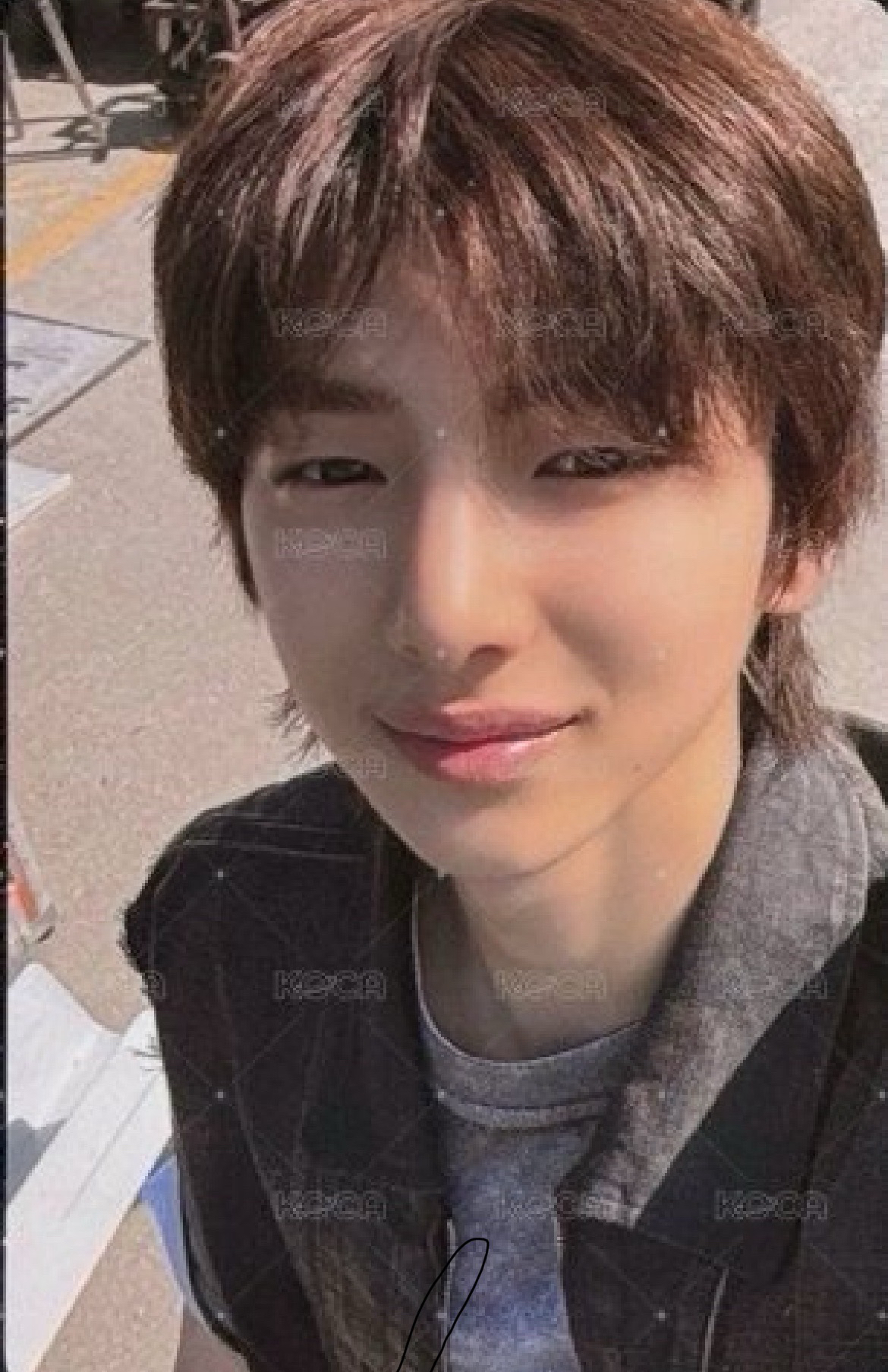 cortis wvs直播卡訓