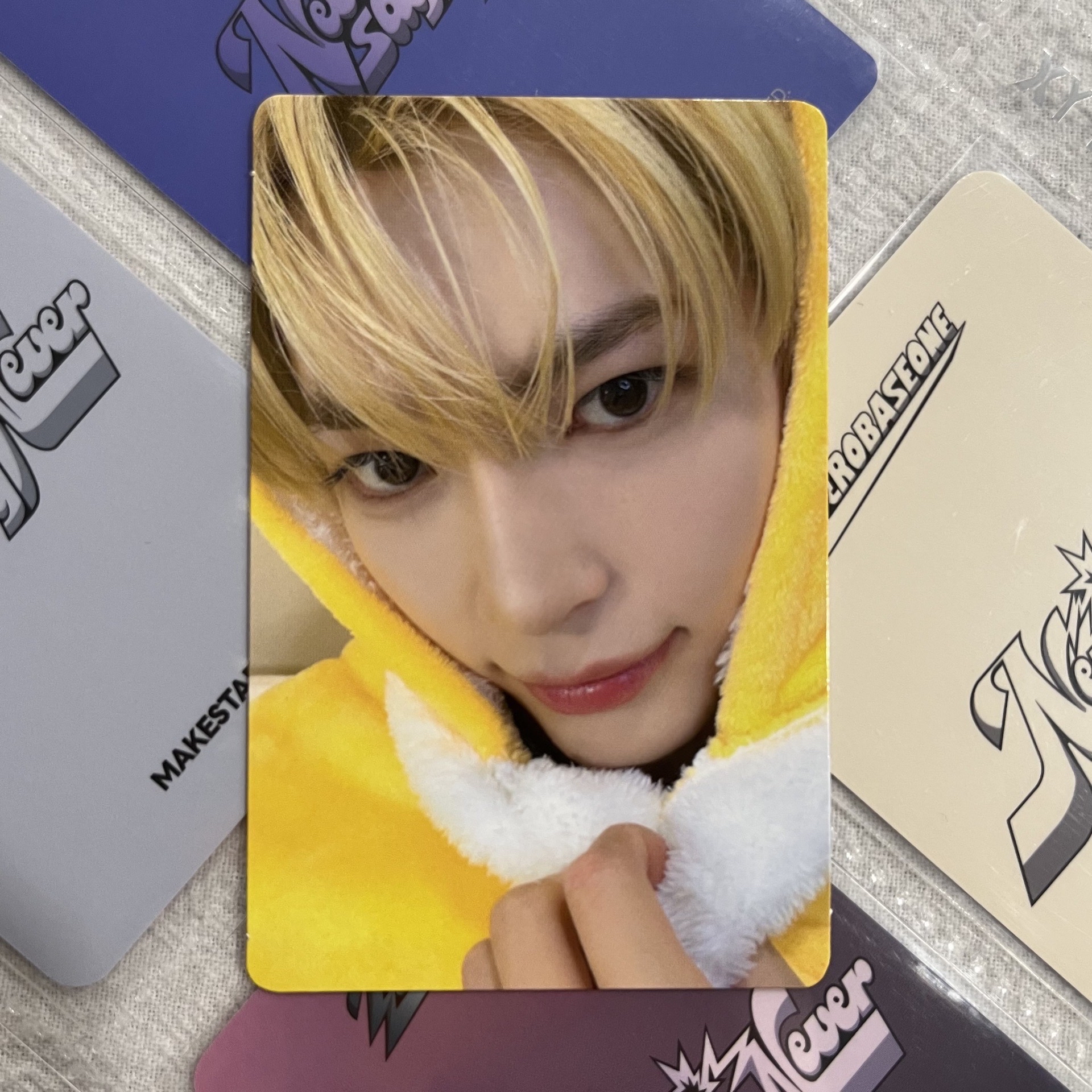 🐾吉隆坡簽售 小可毛毯 彬